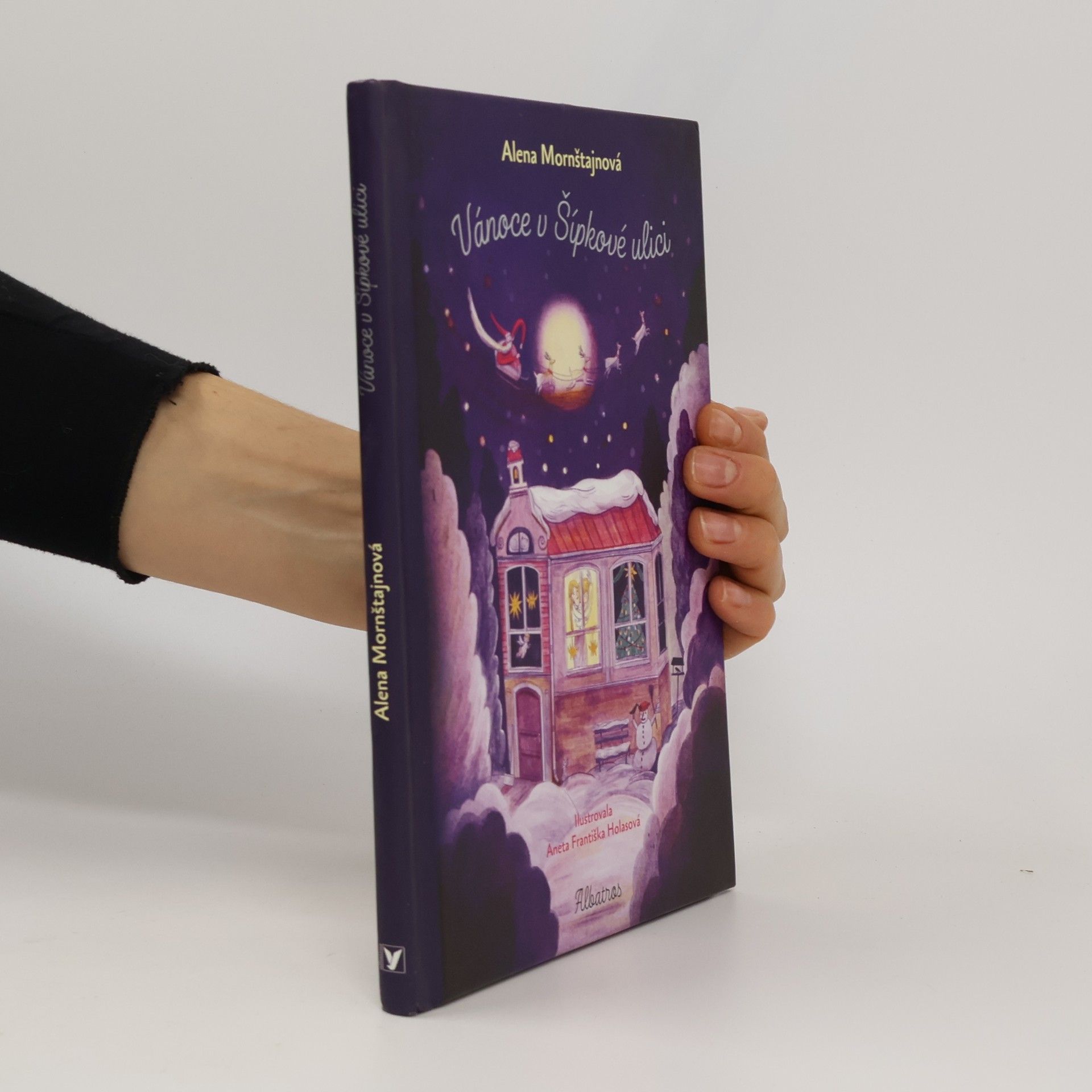 Alena Mornštajnová Vánoce v Šípkové ulici