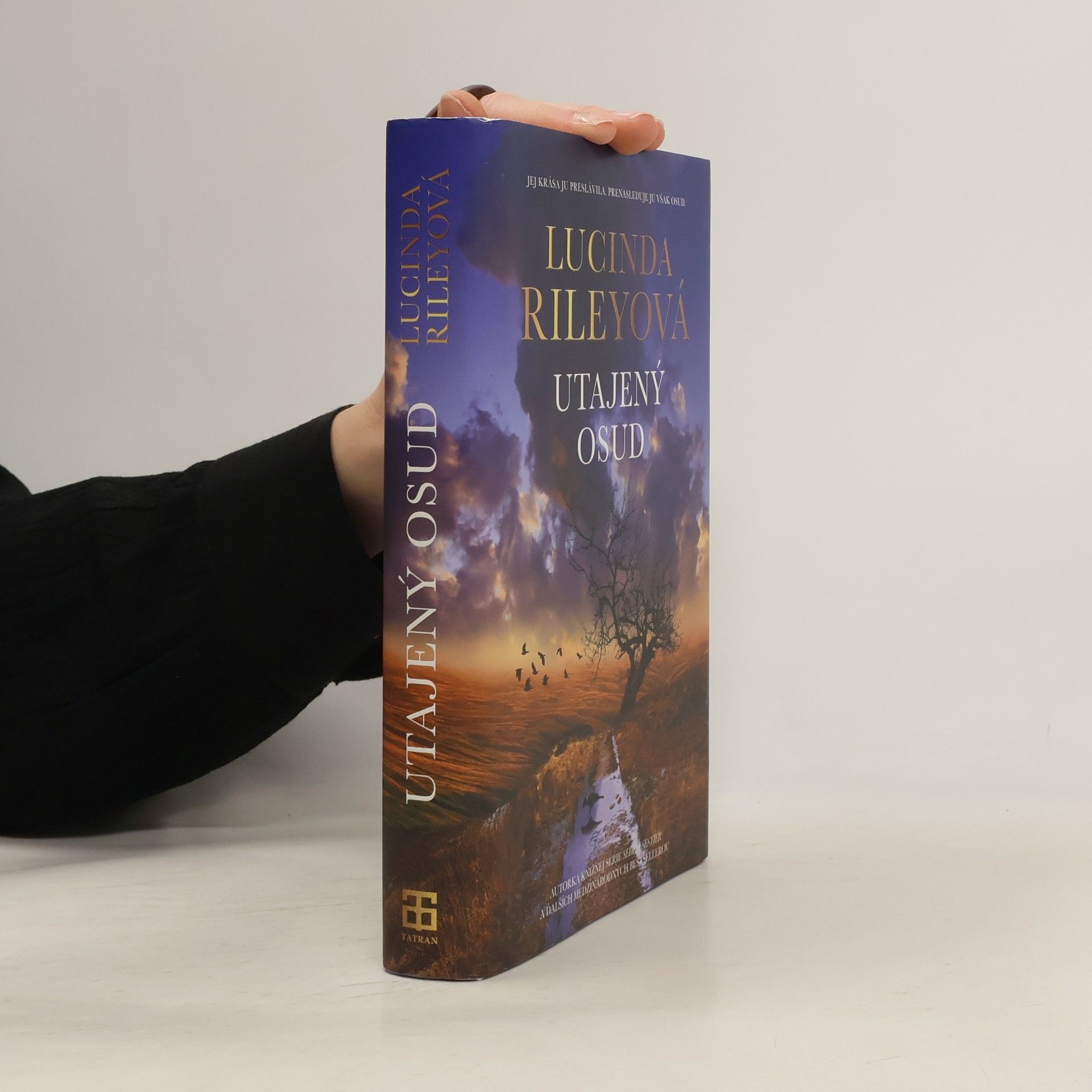 Lucinda Riley Utajený osud