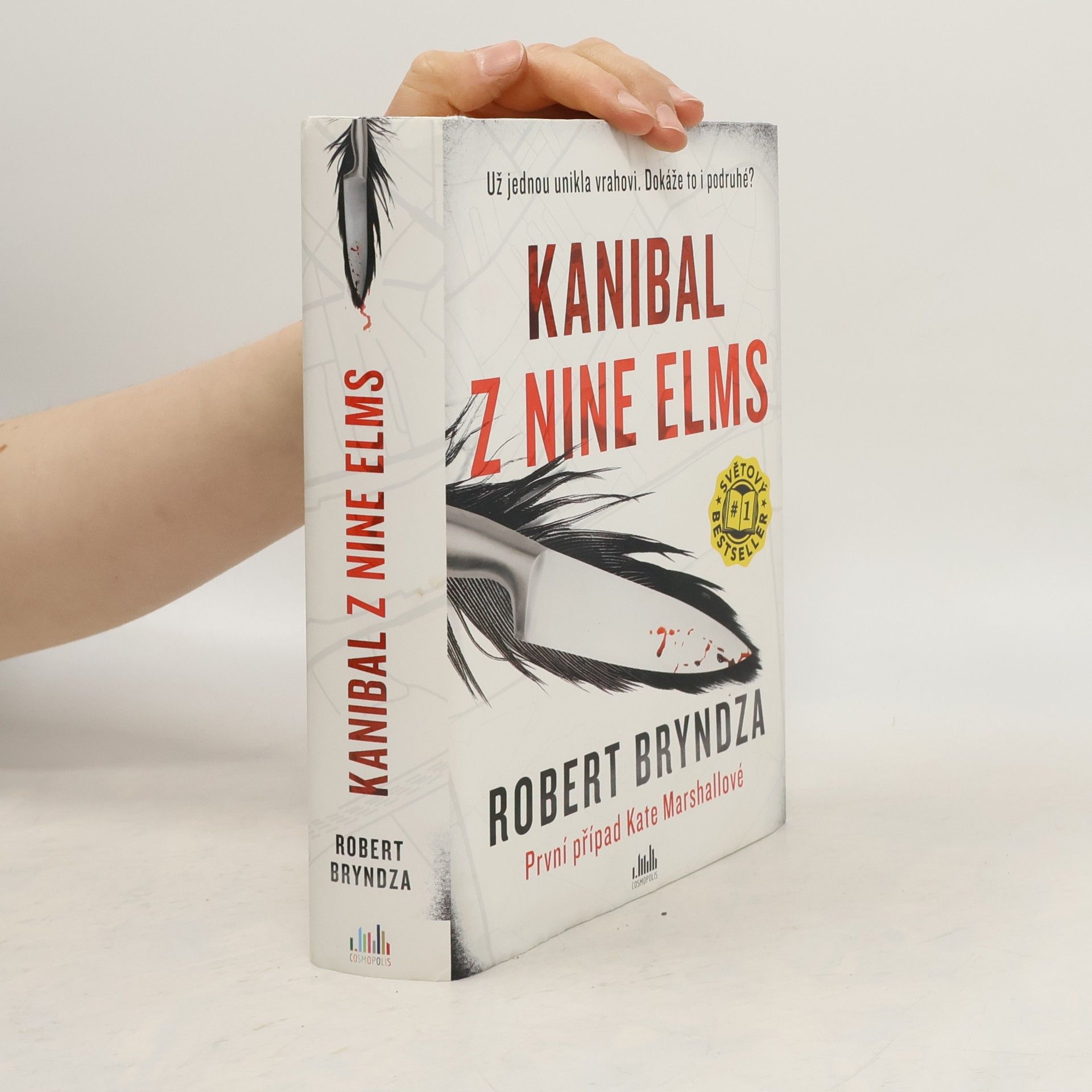 Robert Bryndza Kanibal z Nine Elms