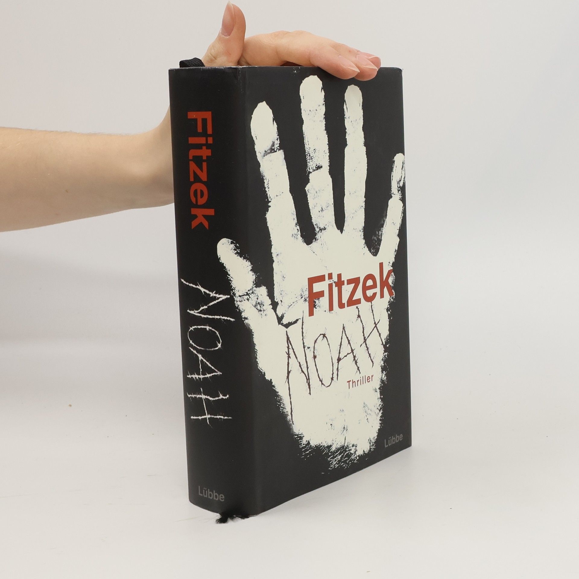 Sebastian Fitzek Noah