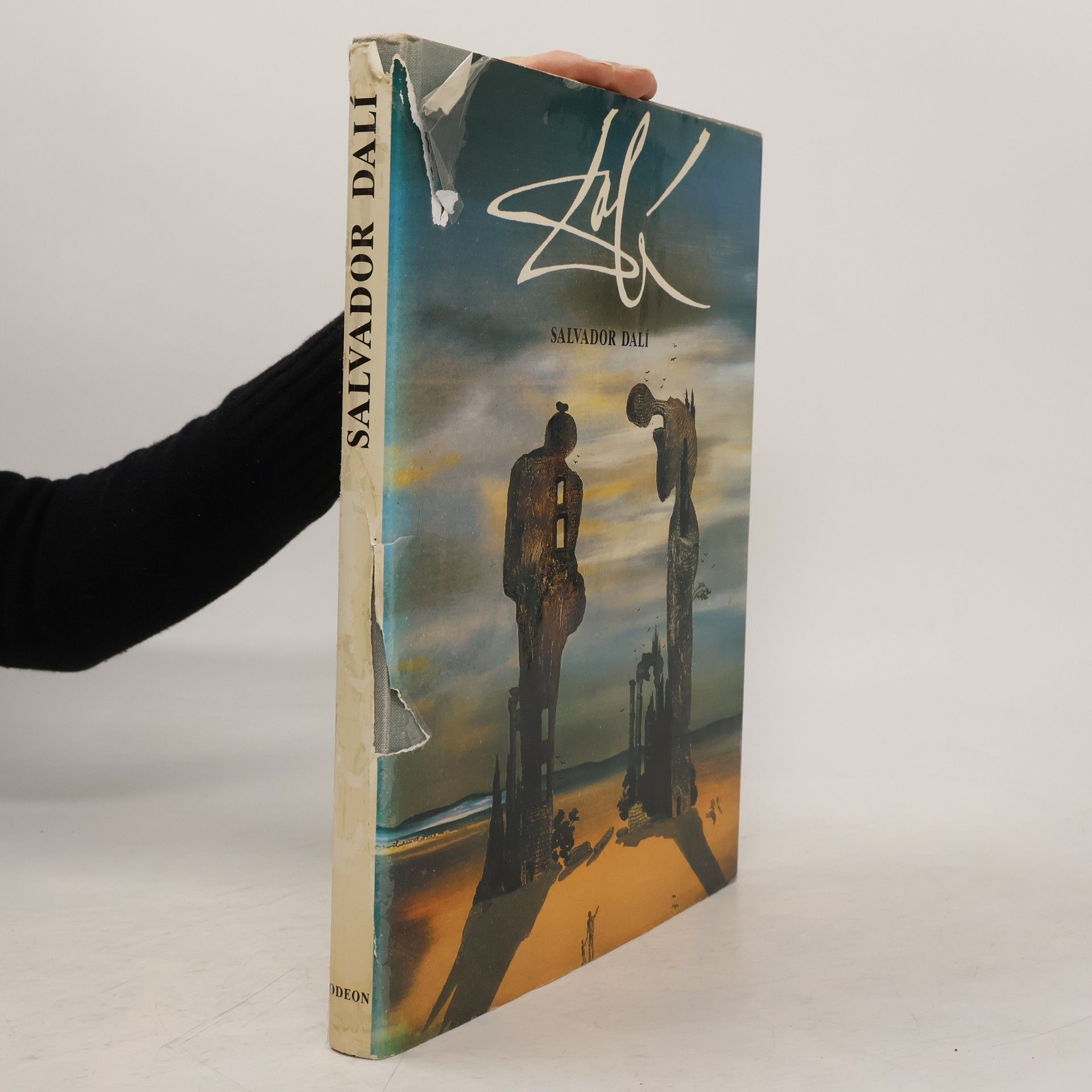 Cesáreo Rodríguez Aguilera Salvador Dalí