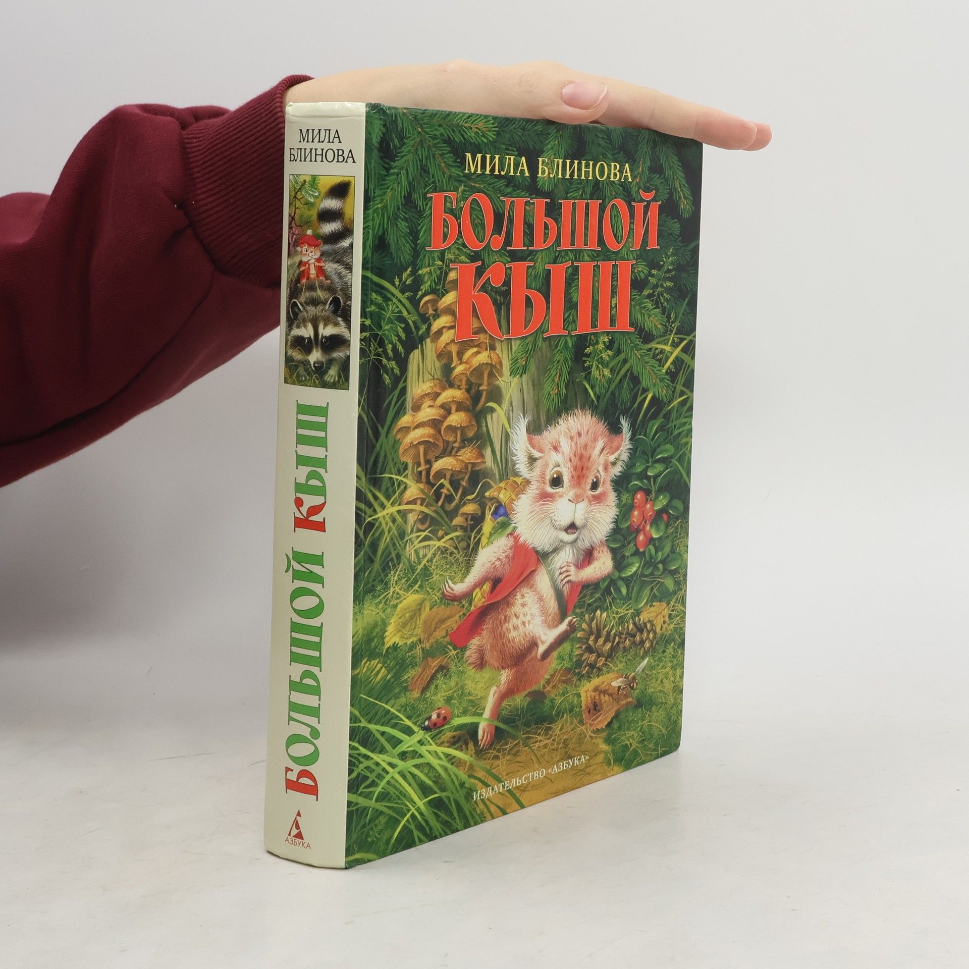 Мила Блинова Большой Кыш