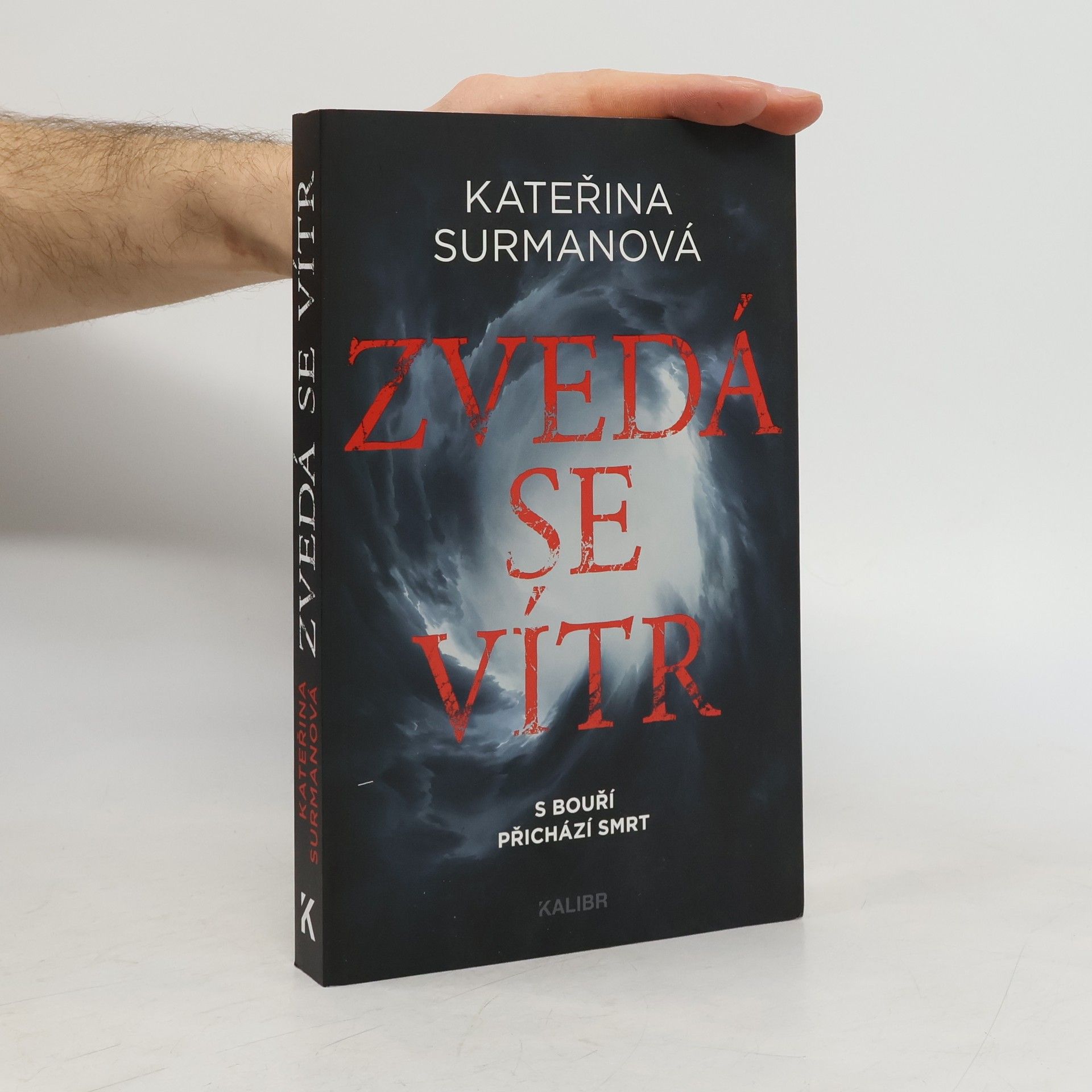 Kateřina Surmanová Zvedá se vítr