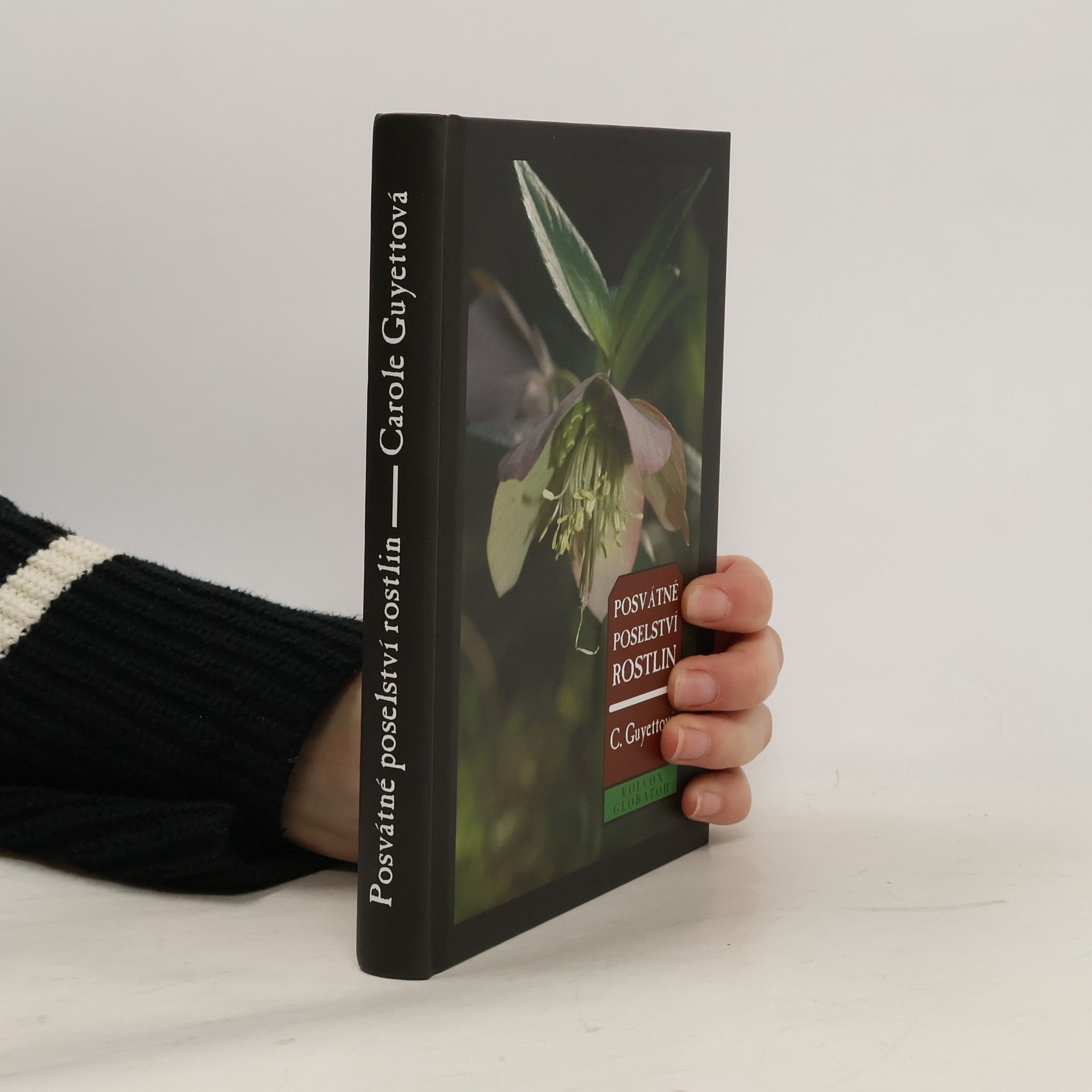 Posvátné poselství rostlin: Komunikace s rostlinami jako cesta k uzdravení a vyššímu vědomí