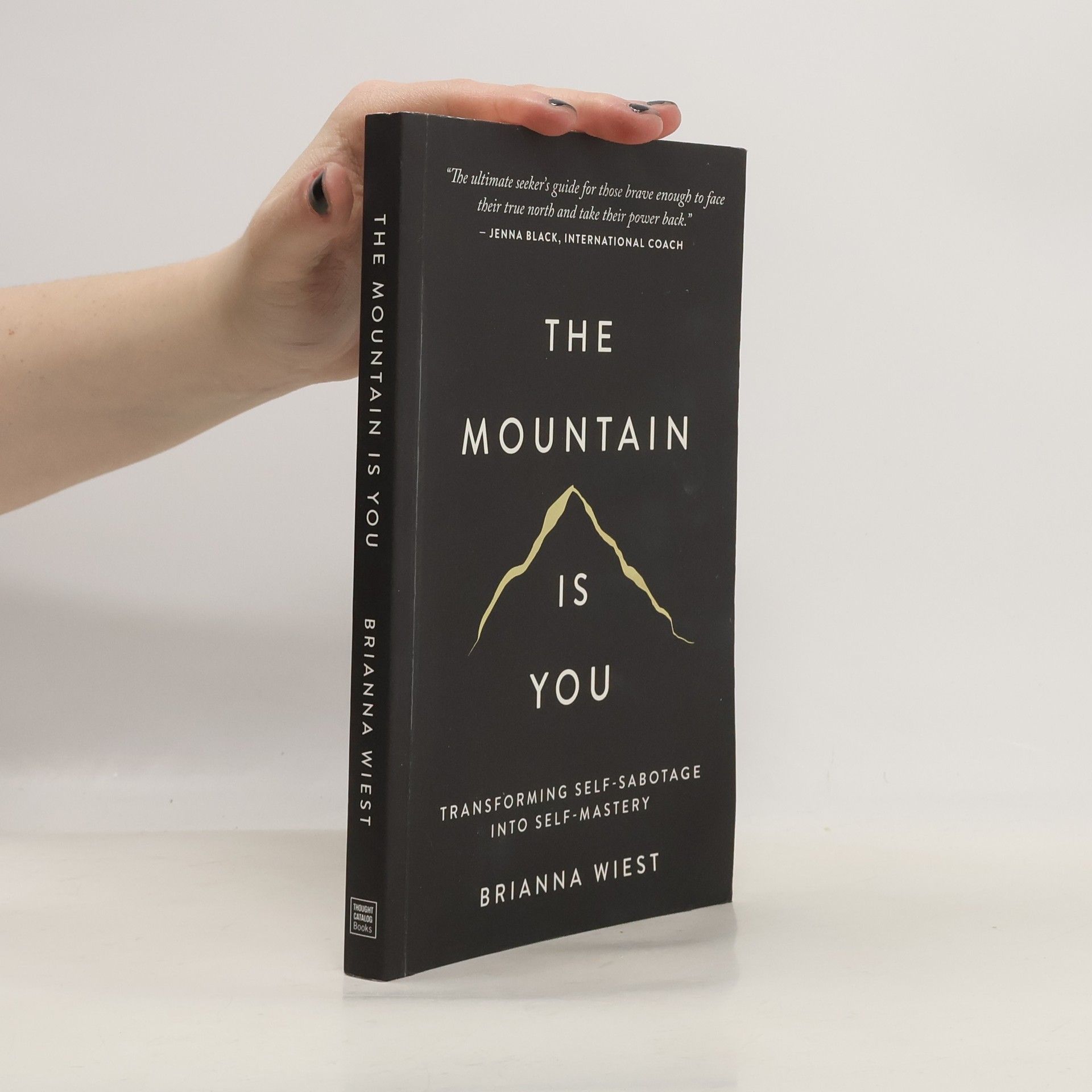 Brianna Wiest The Mountain Is You