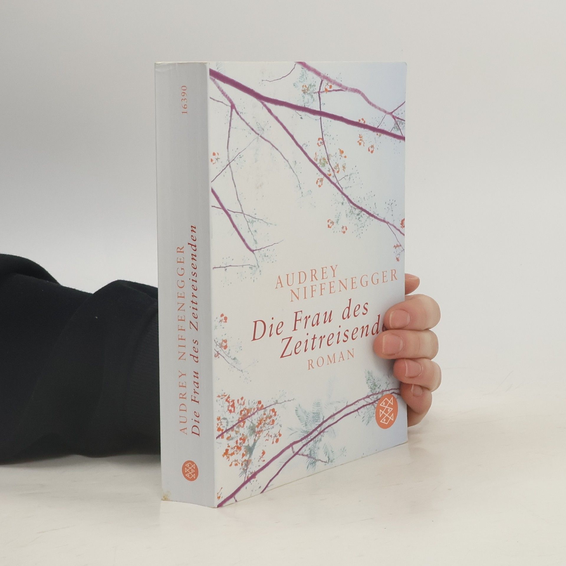 Audrey Niffenegger Die Frau des Zeitreisenden