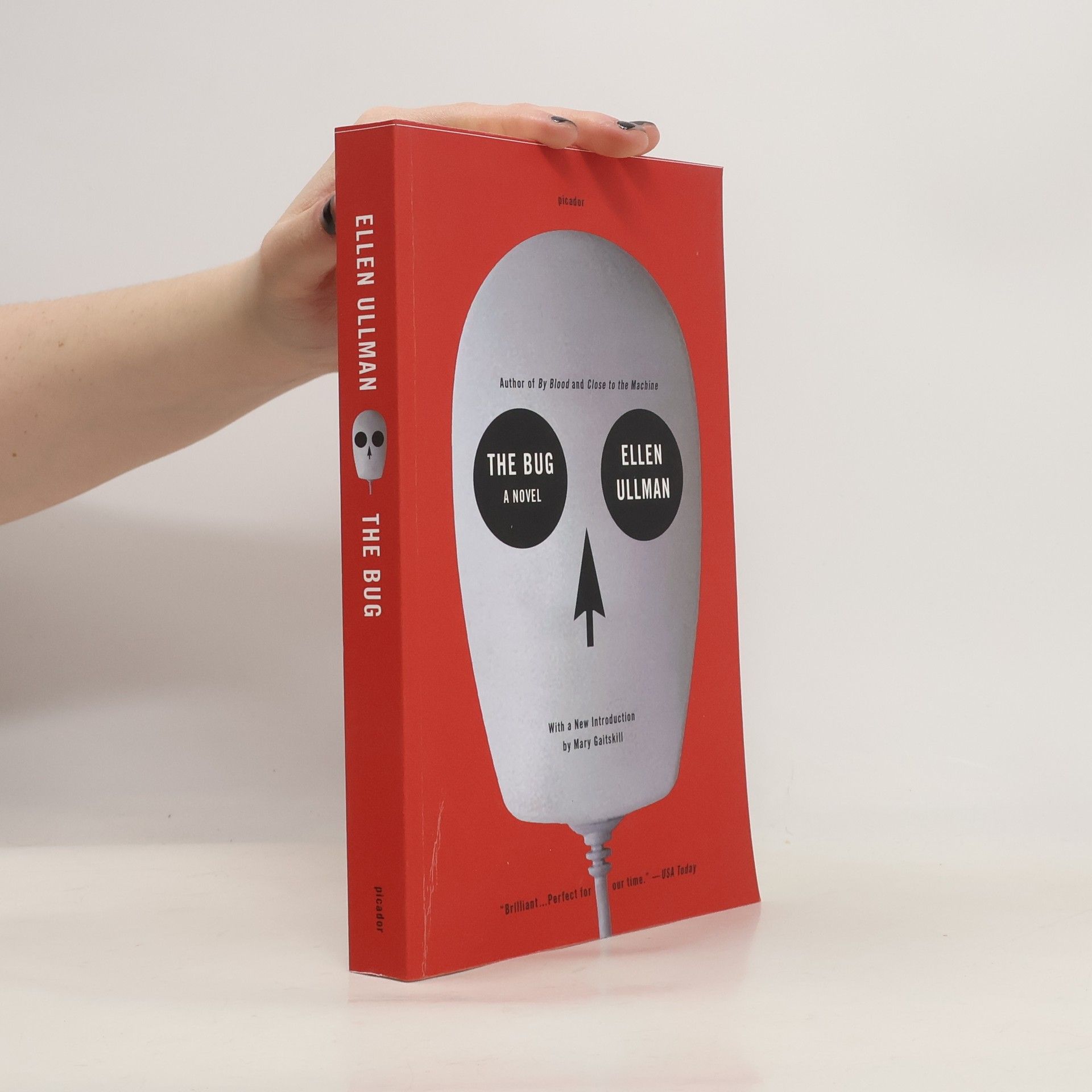 Ellen Ullman The Bug