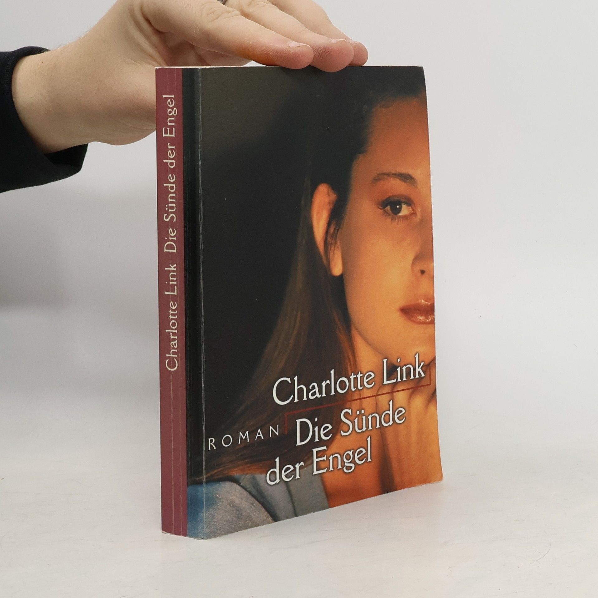 Charlotte Link Die Sünde der Engel
