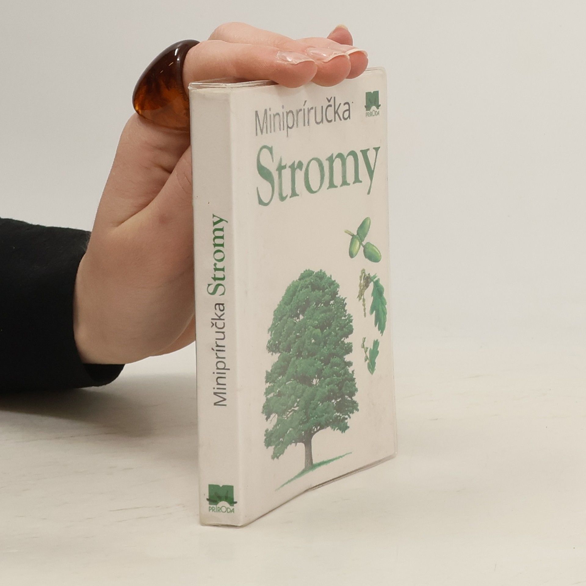 Autorenkollektiv Minipríručka Stromy