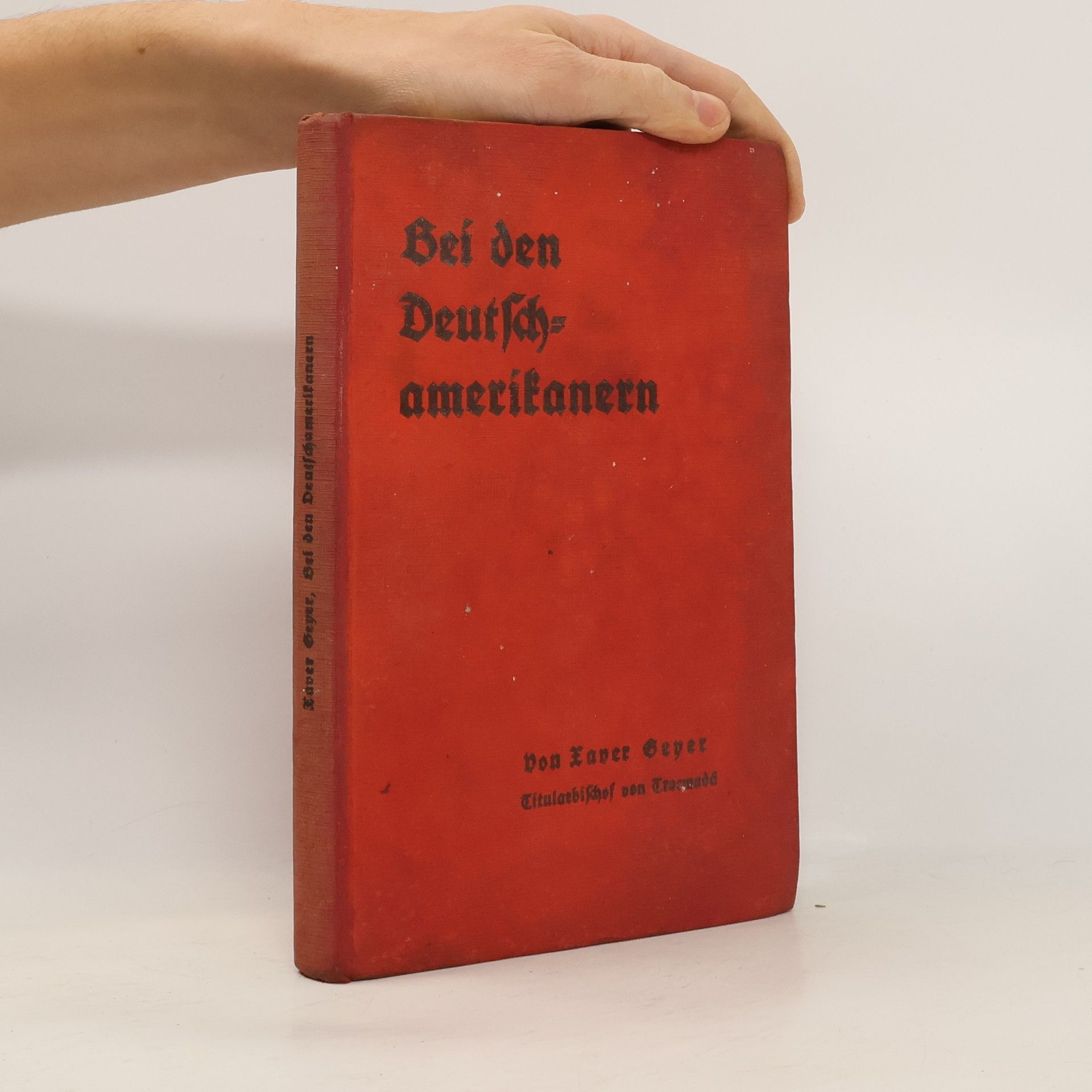 Franz Xaver Geyer Bei den Deutschamerikanern