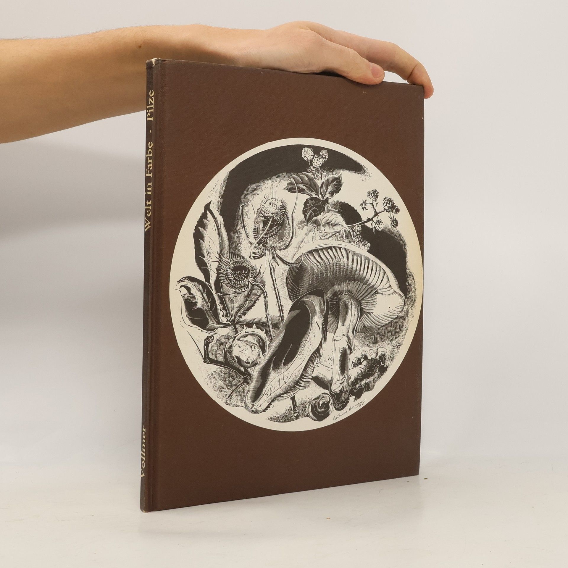 Moira Savonius Welt in Farbe. Pilze