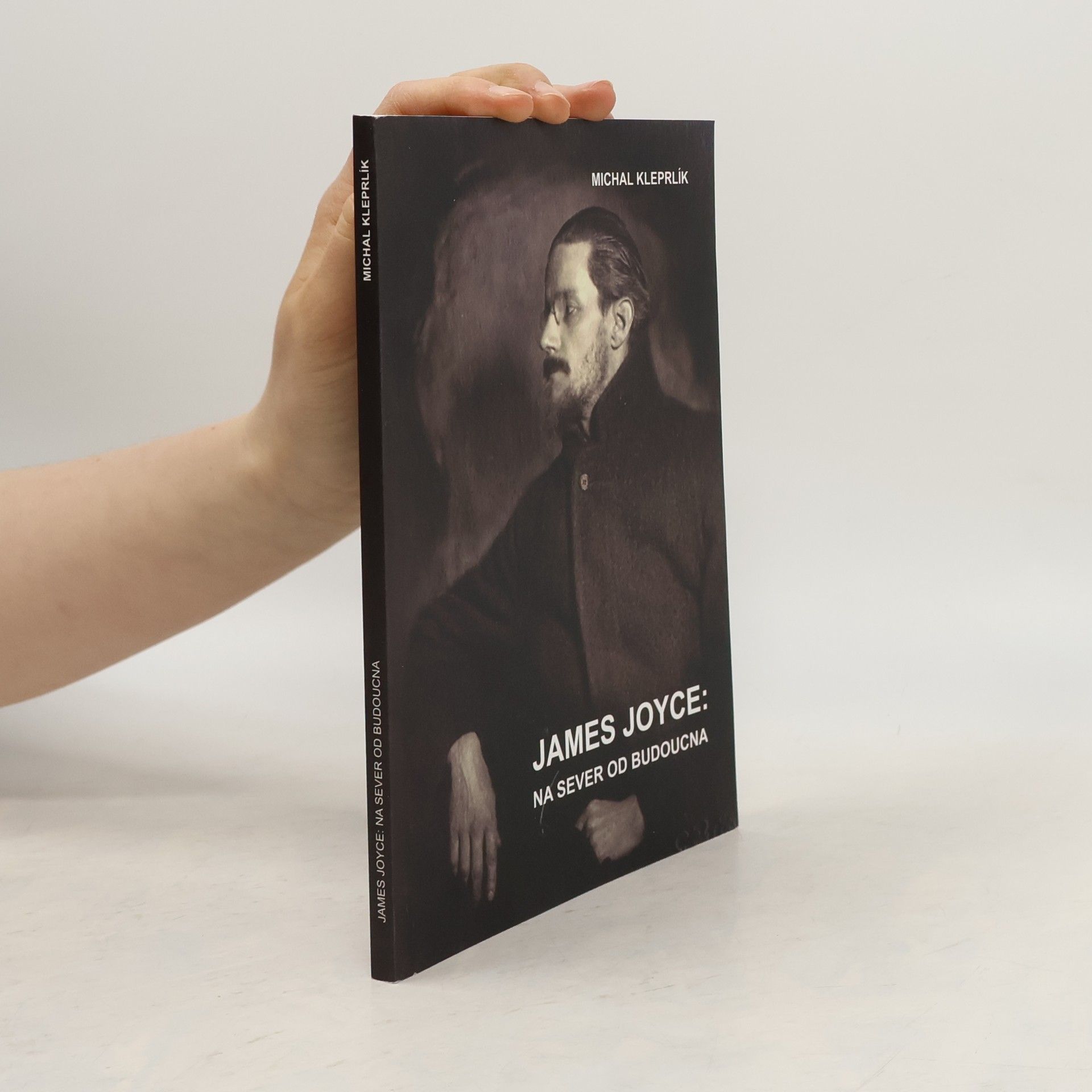 Michal Kleprlík James Joyce: na sever od budoucna