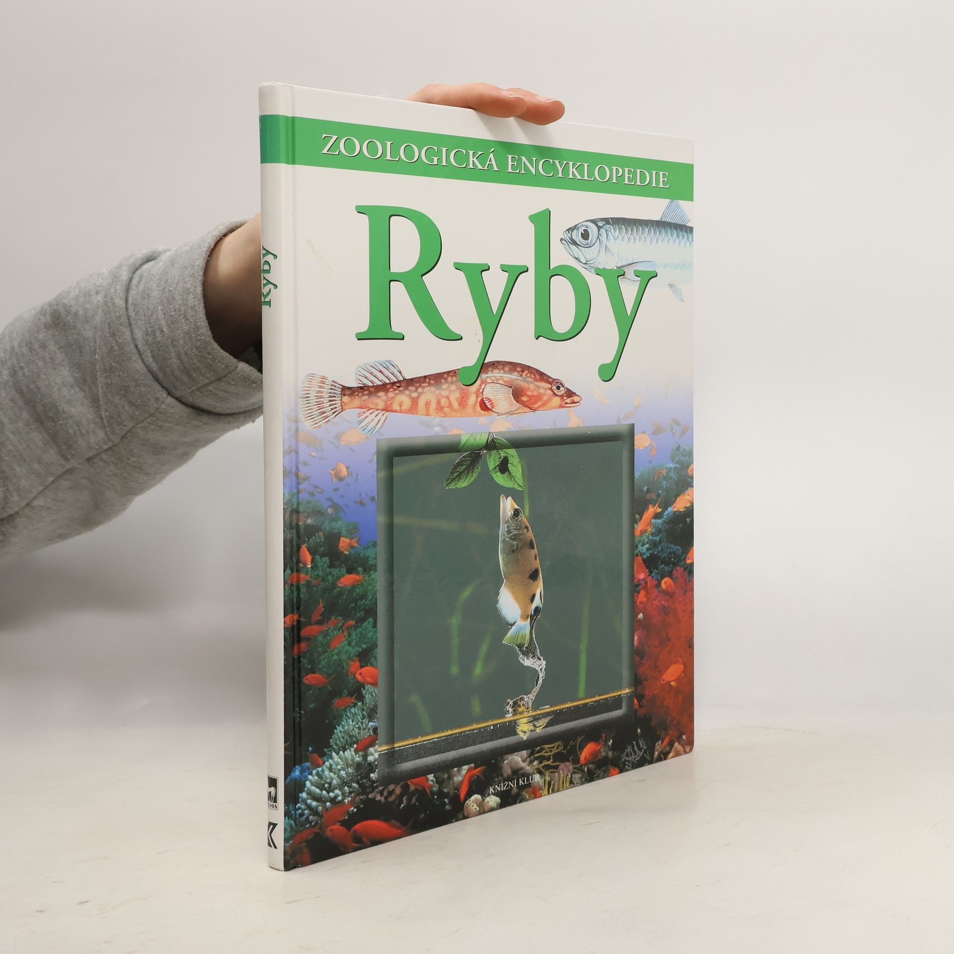 Günter Diesener Ryby