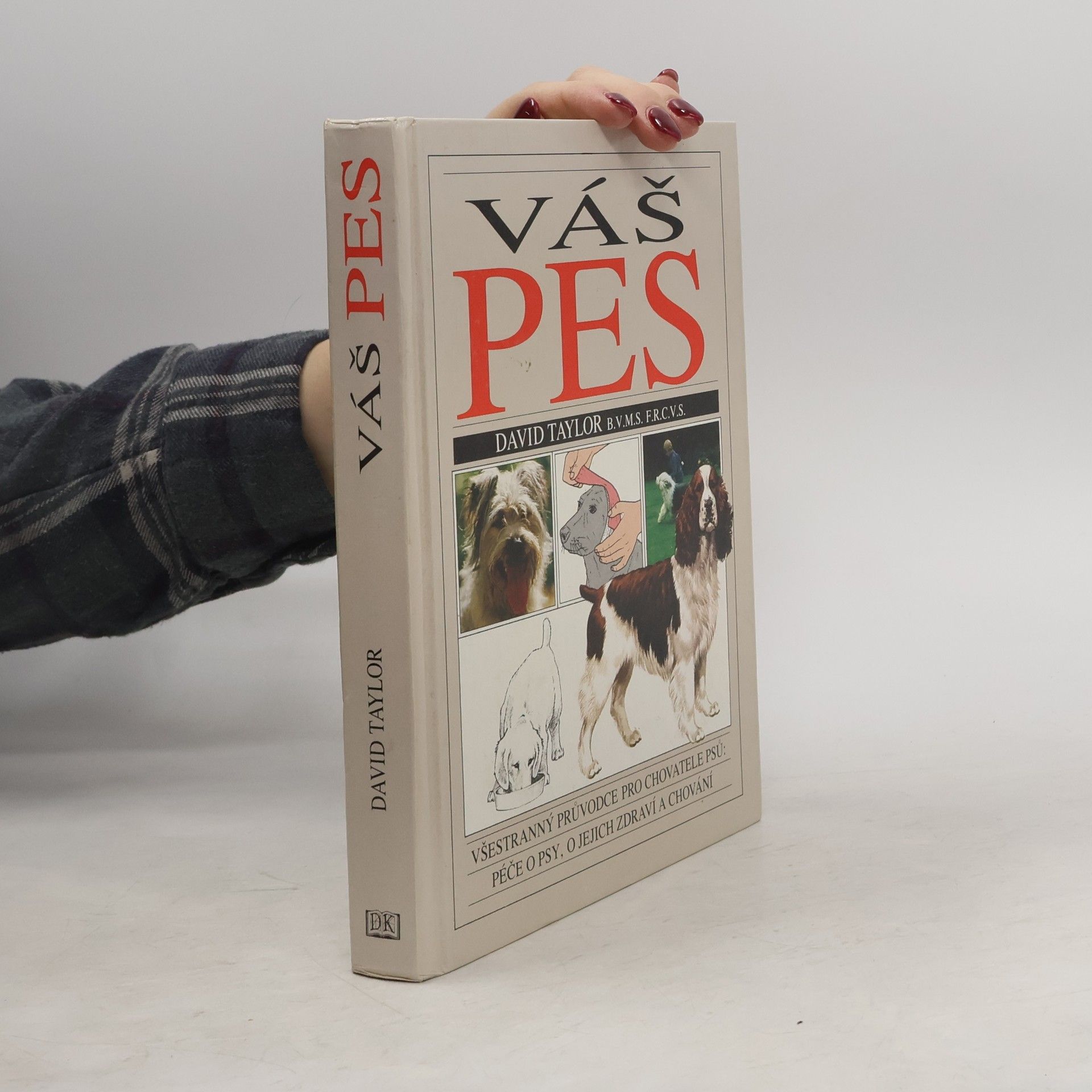 David Conrad Taylor Váš pes