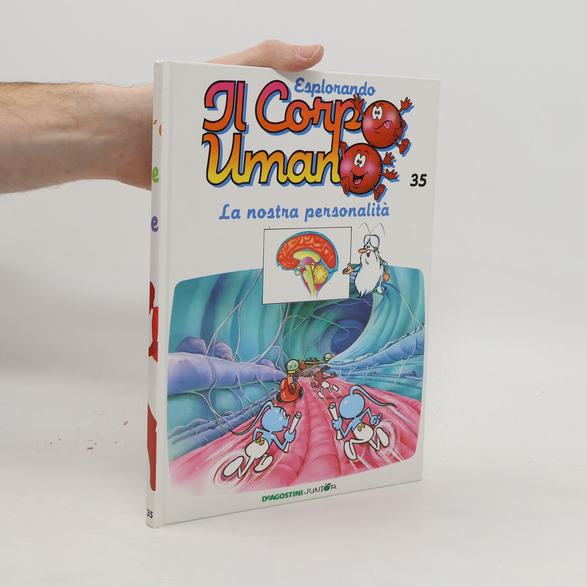 Autorenkollektiv Esplorando il corpo umano 35