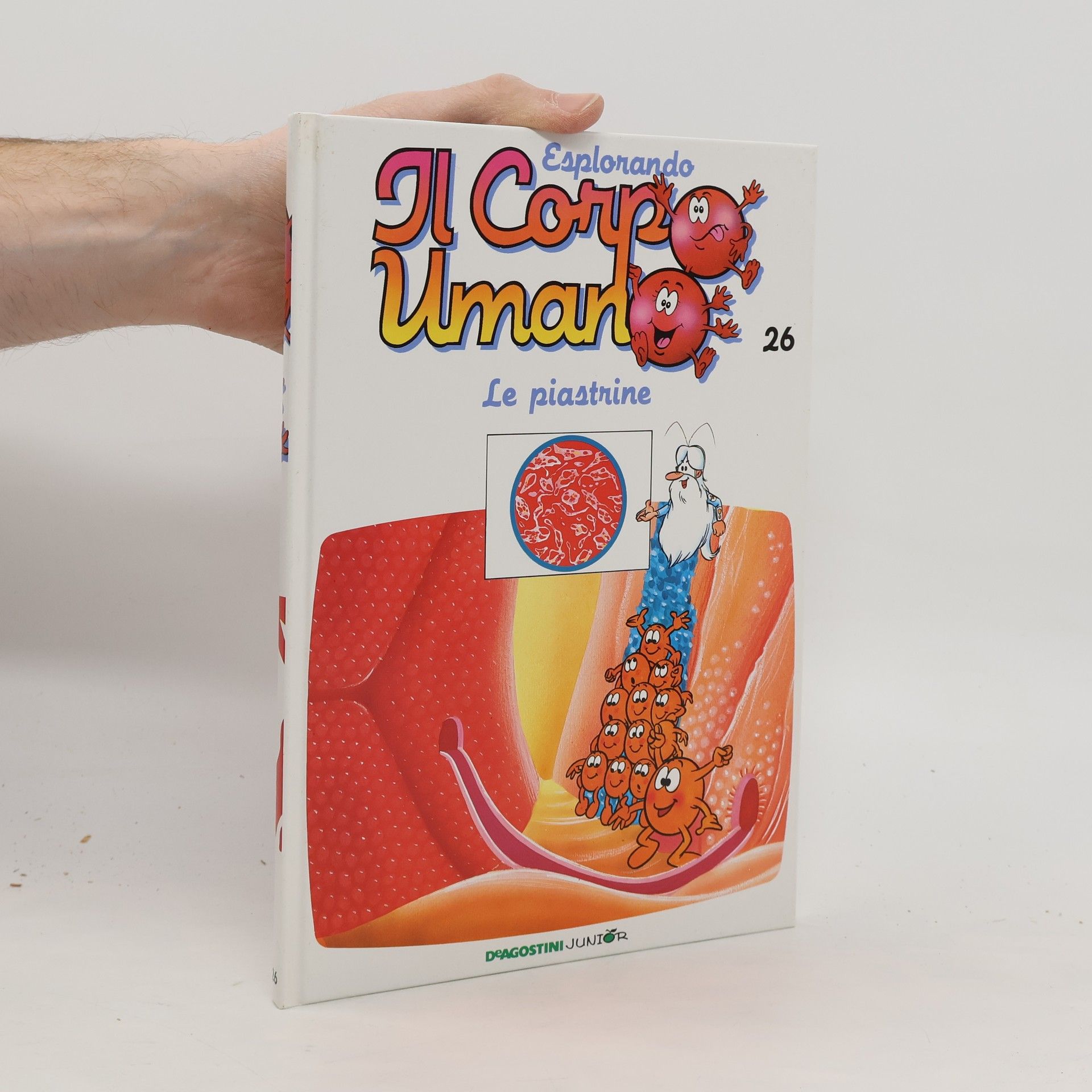 Collectif d'auteurs Esplorando il Corpo Umano 26