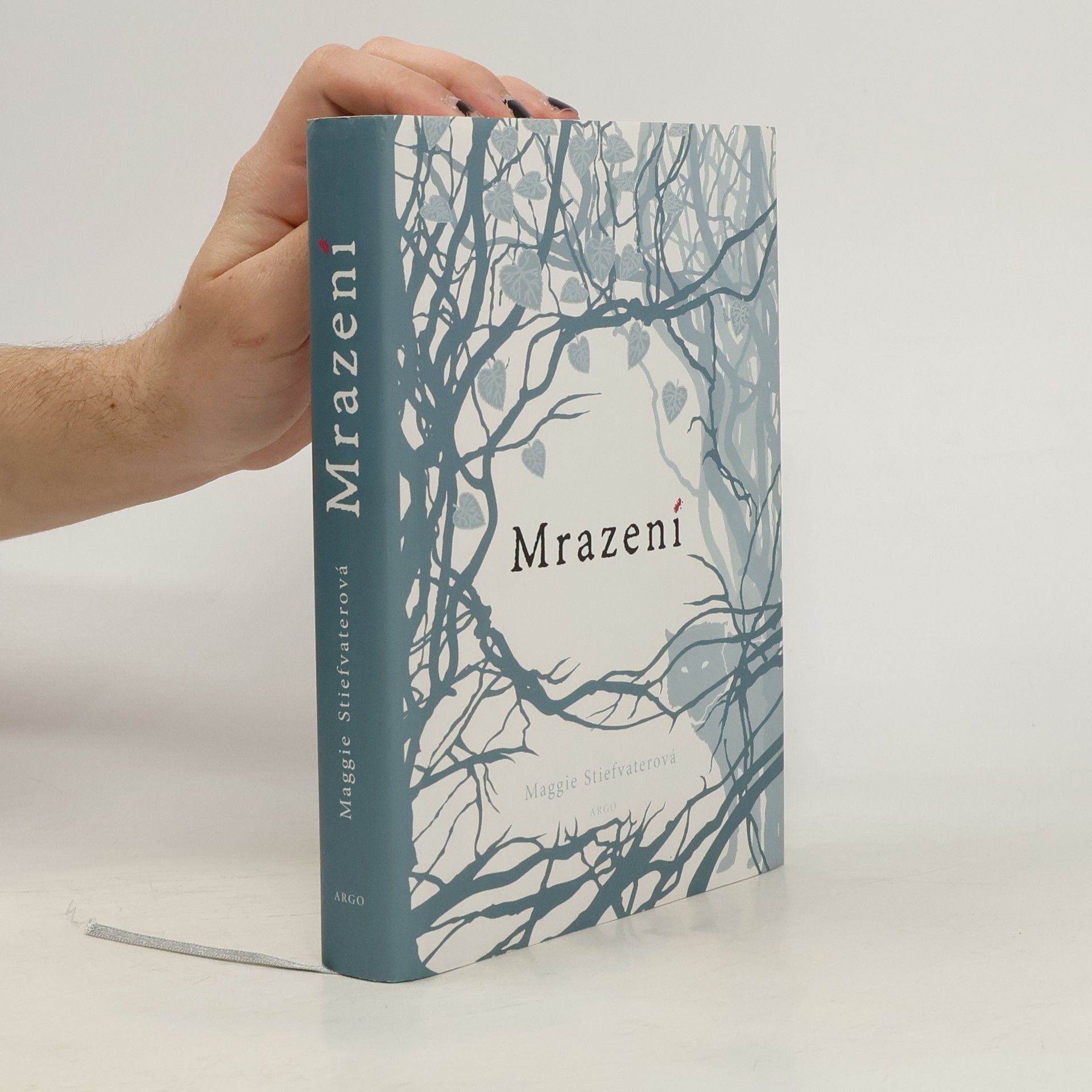 Maggie Stiefvater Mrazení