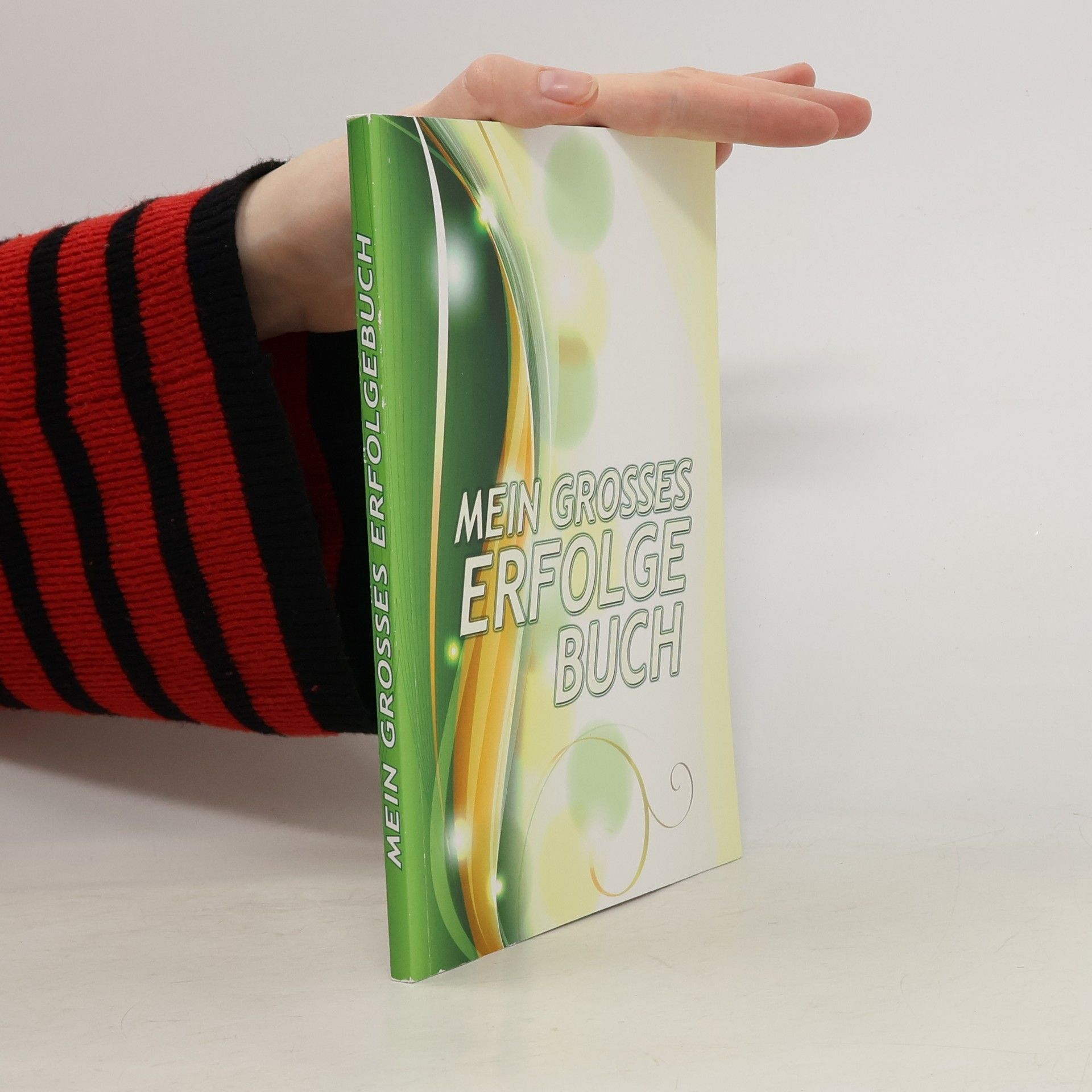 Daniel Paasch Mein großes Erfolgebuch