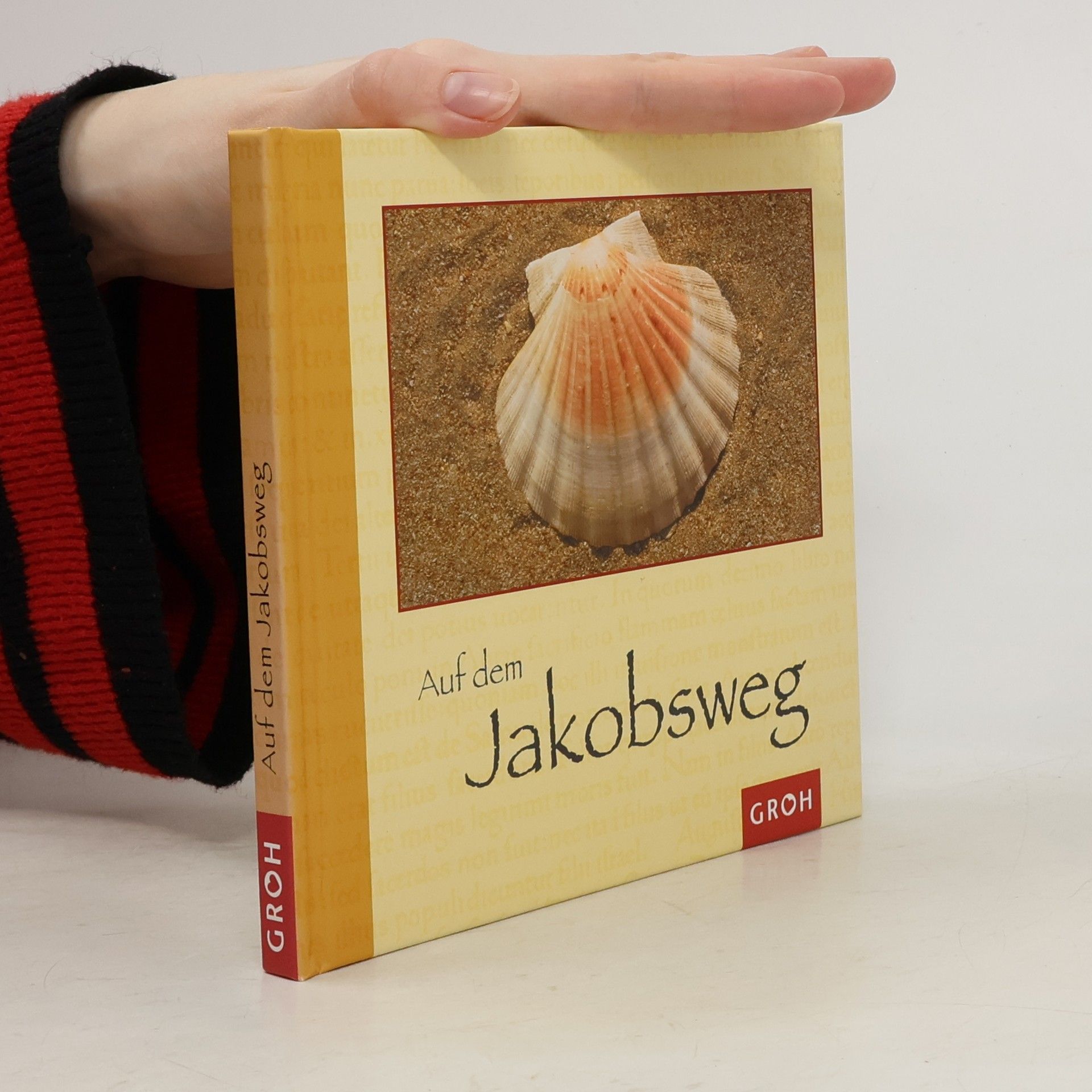 Benedikt Ambacher Auf dem Jakobsweg