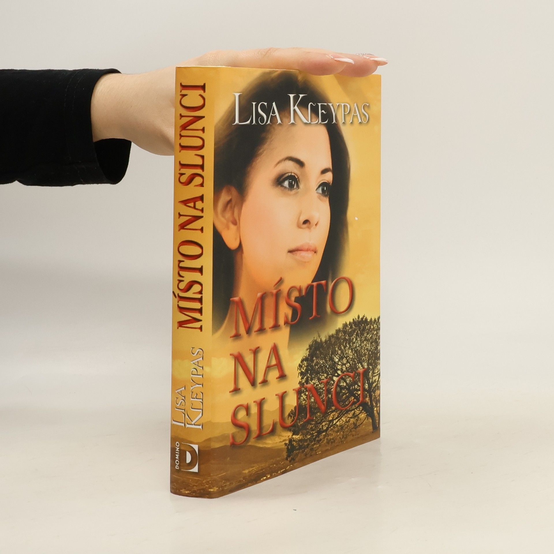 Lisa Kleypas Místo na slunci