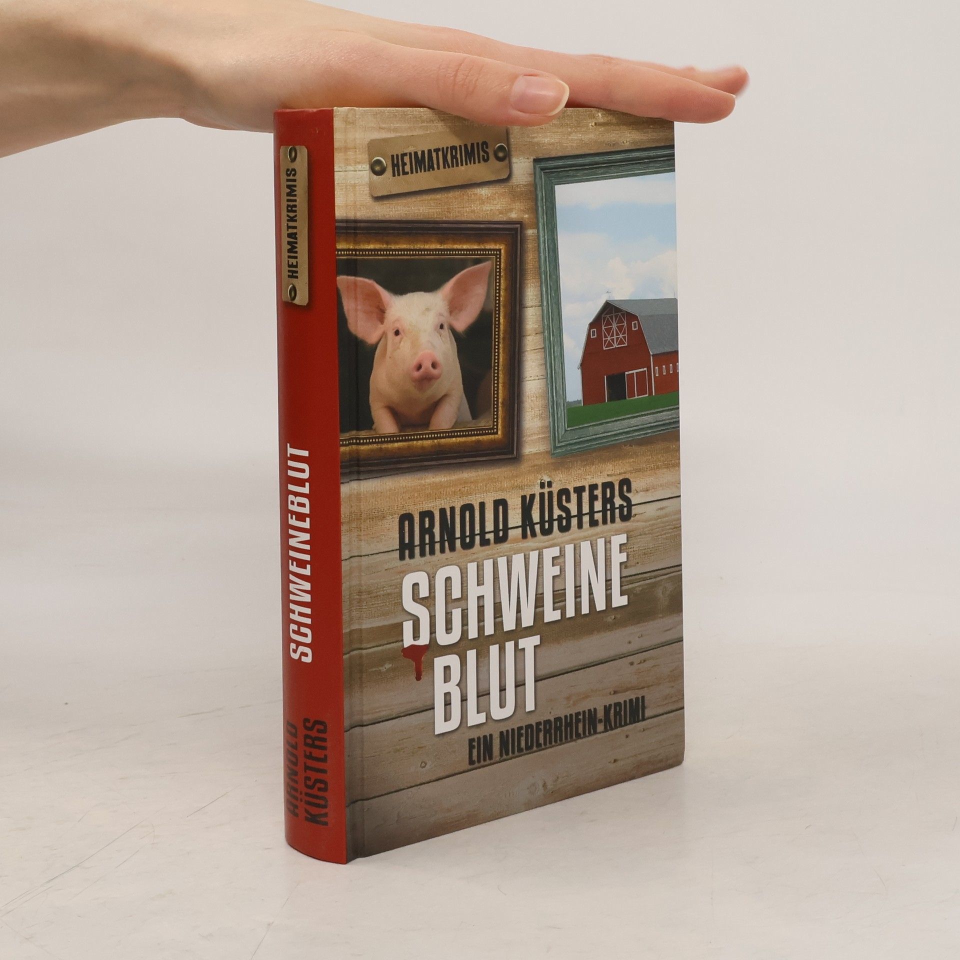 Arnold Küsters Schweineblut. Ein Niederrhein-Krimi