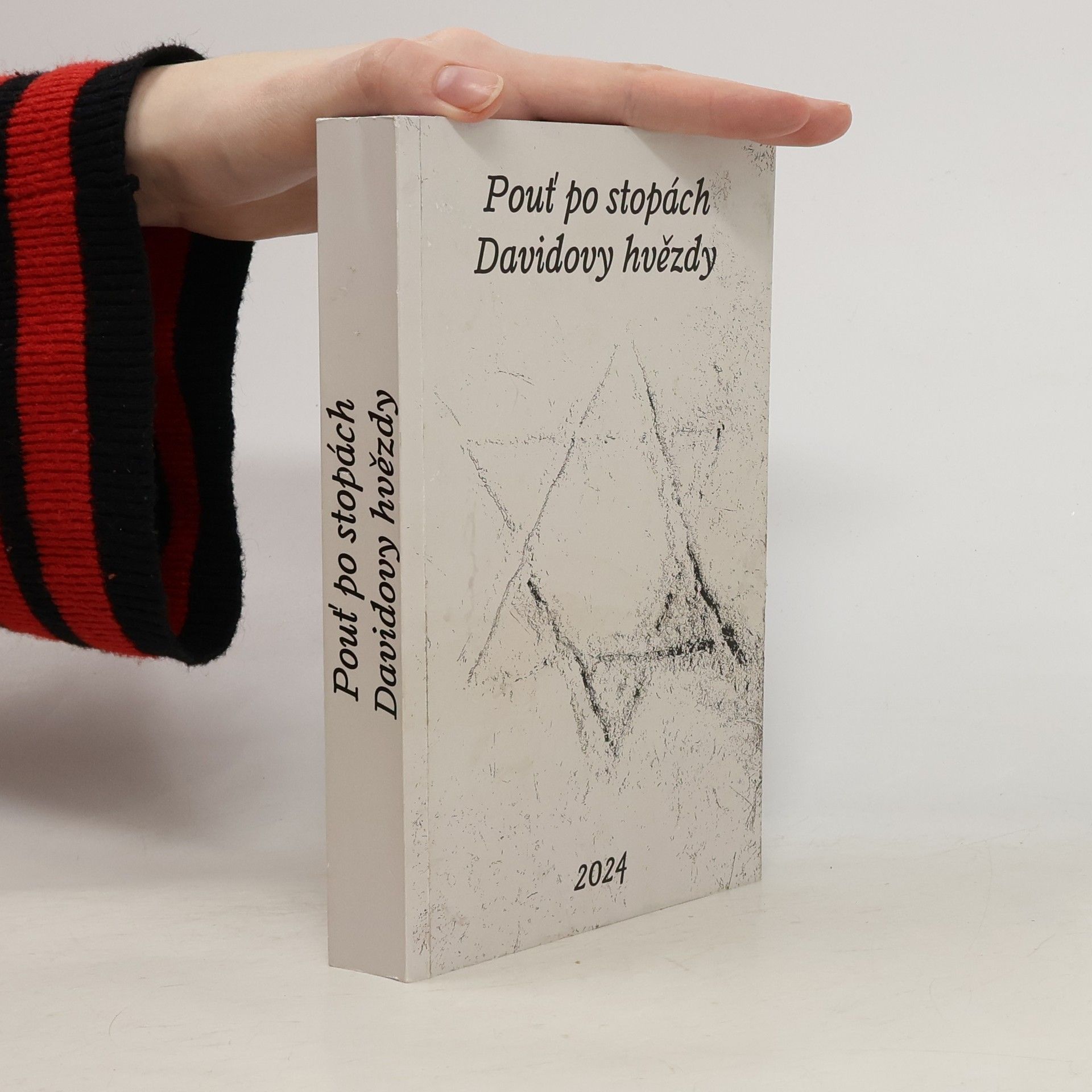 Collectif d'auteurs Pouť po stopách Davidovy hvězdy
