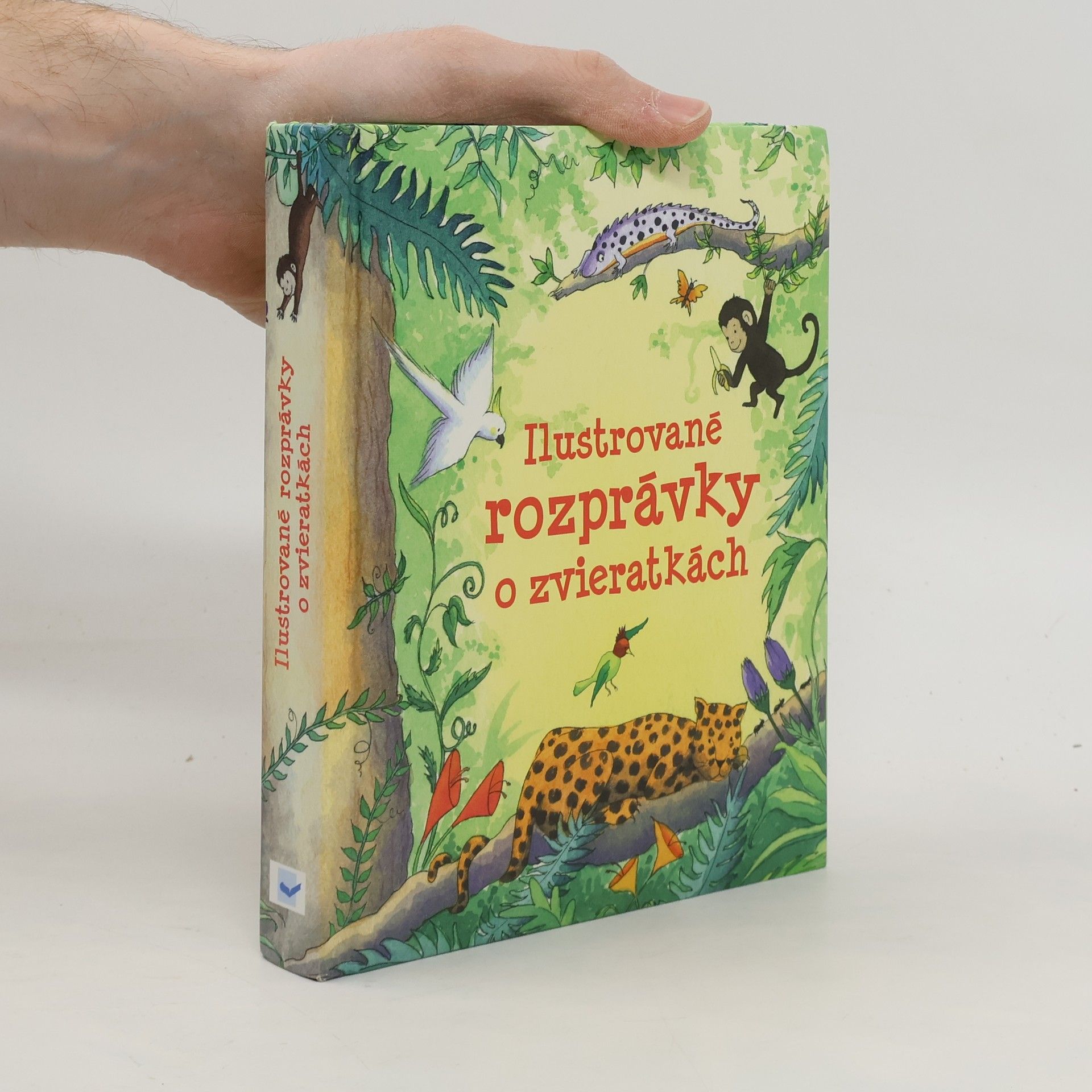 Autorenkollektiv Ilustrované rozprávky o zvieratkách