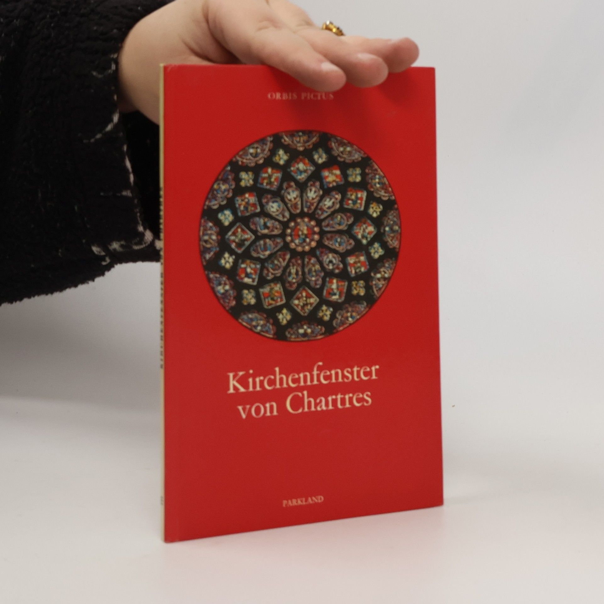 Alfons Dierick Kirchenfenster von Chartres