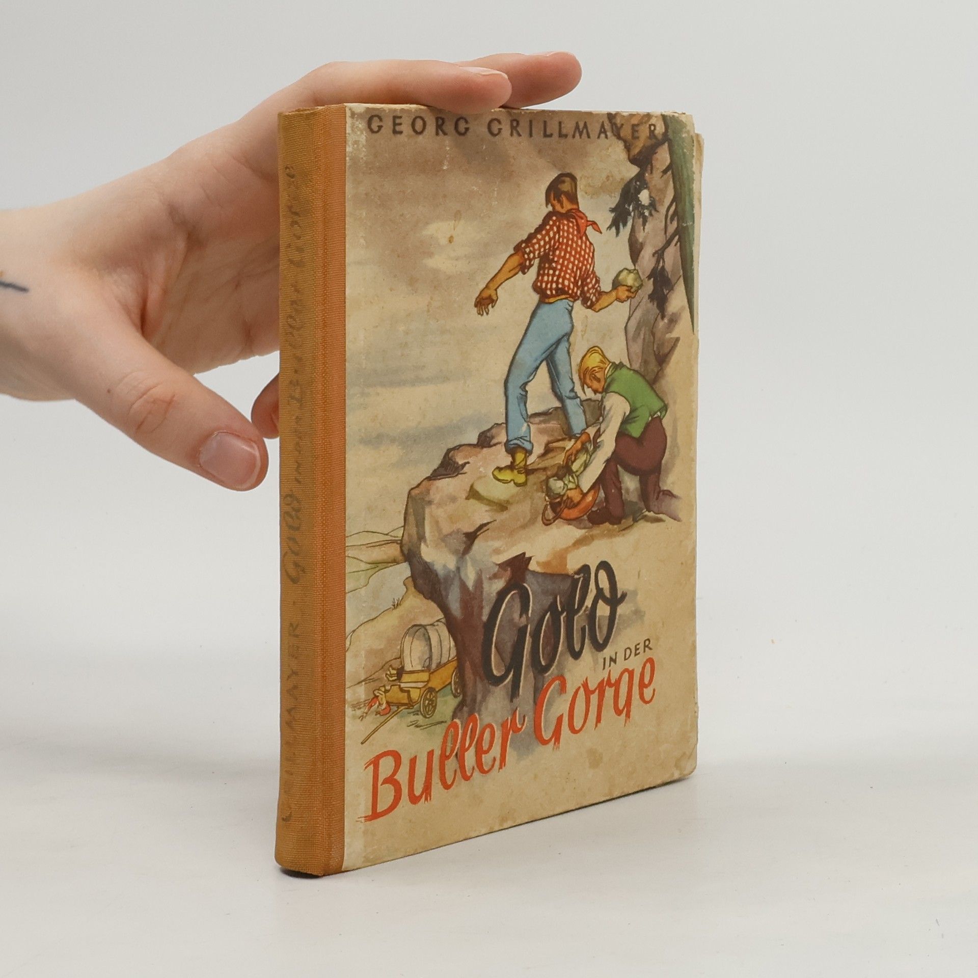 Georg Grillmeyer Gold in der Buller Gorge