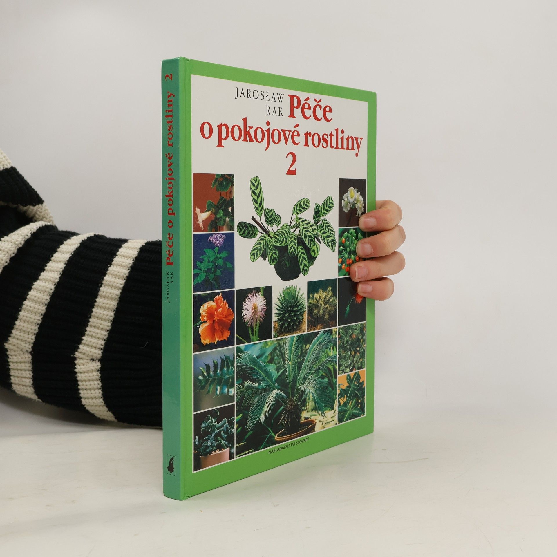 Jarosław Rak Péče o pokojové rostliny 2