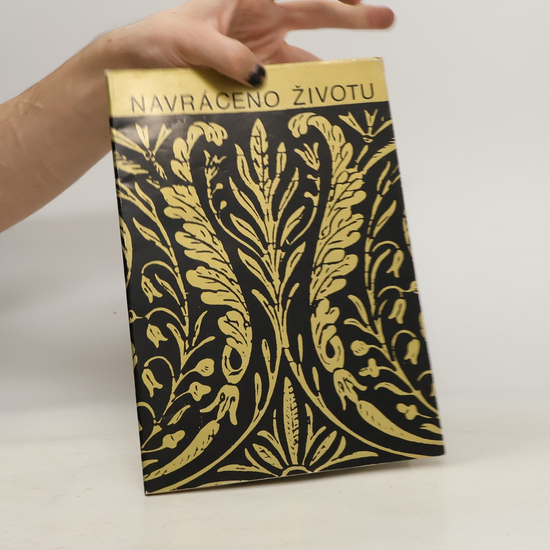 Auteurscollectief Navráceno životu