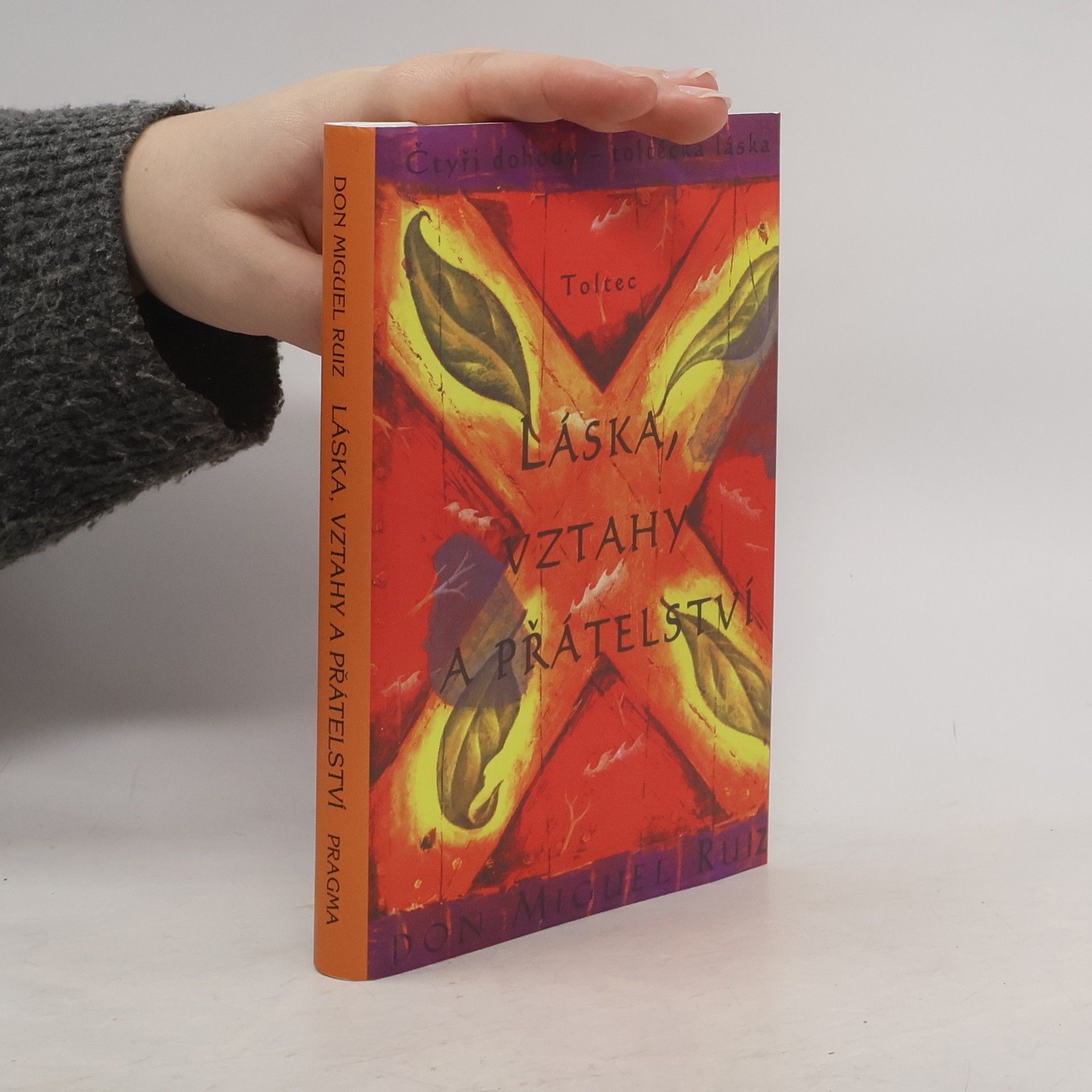 Don Miguel Ruiz Láska, vztahy a přátelství