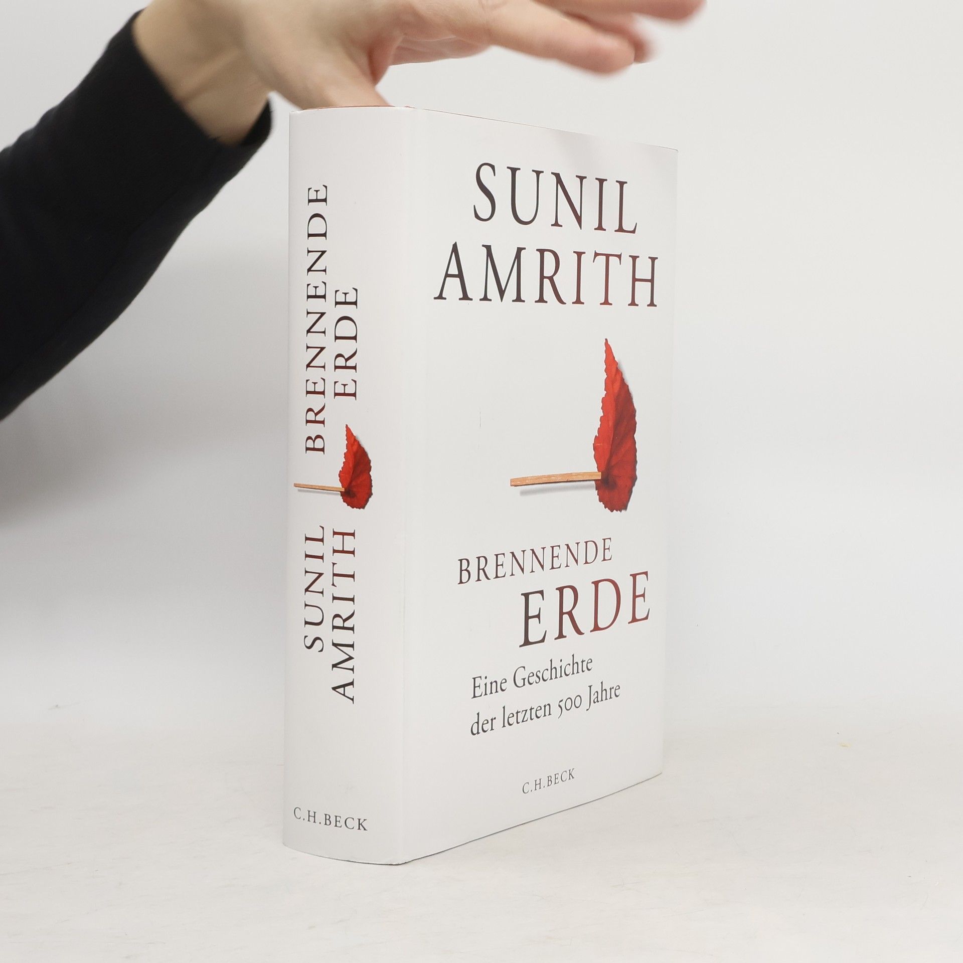 Sunil Amrith Brennende Erde: Eine Geschichte der letzten 500 Jahre