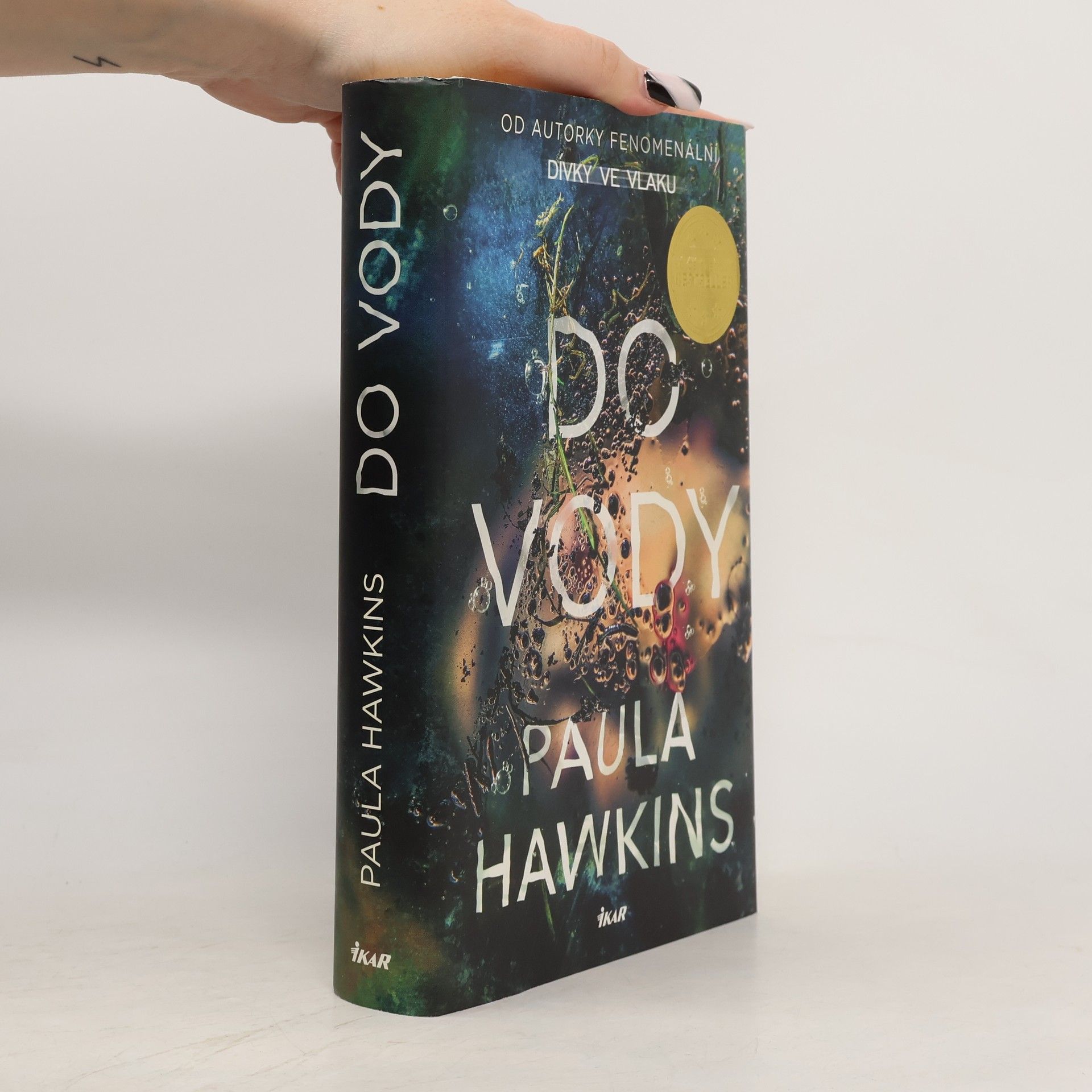 Paula Hawkins Do vody