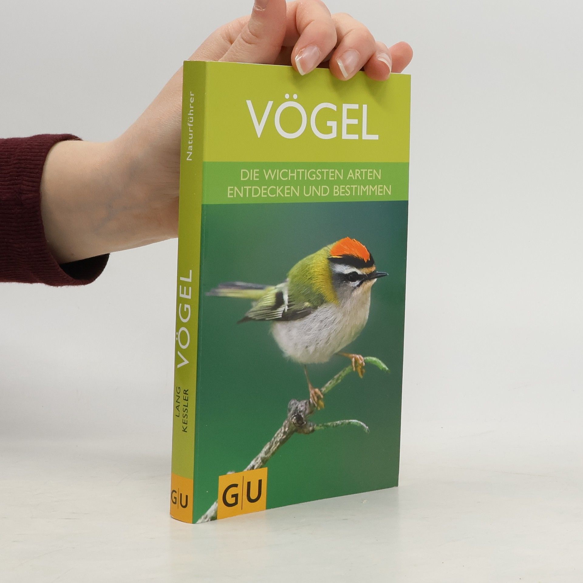 Autores varios Vögel. Die wichtigsten Arten entdecken und bestimmen