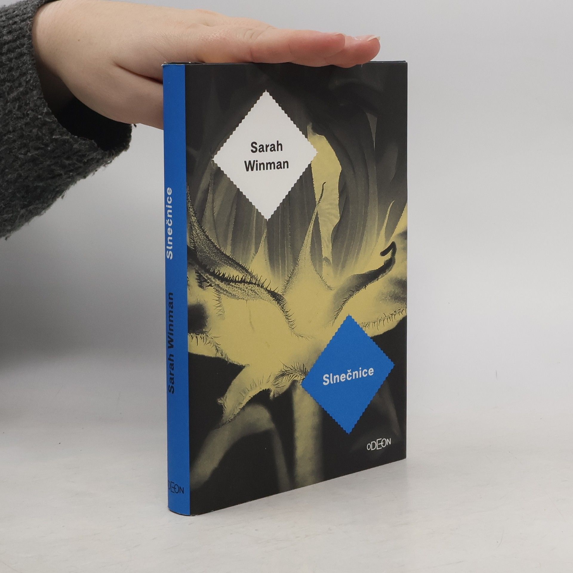 Sarah Winman Slnečnice