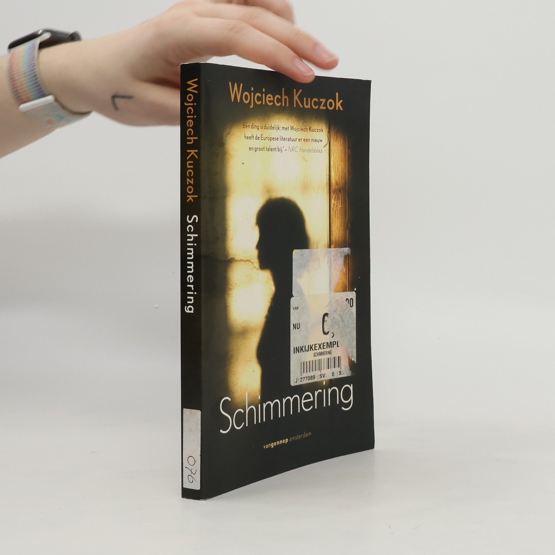 Wojciech Kuczok Schimmering