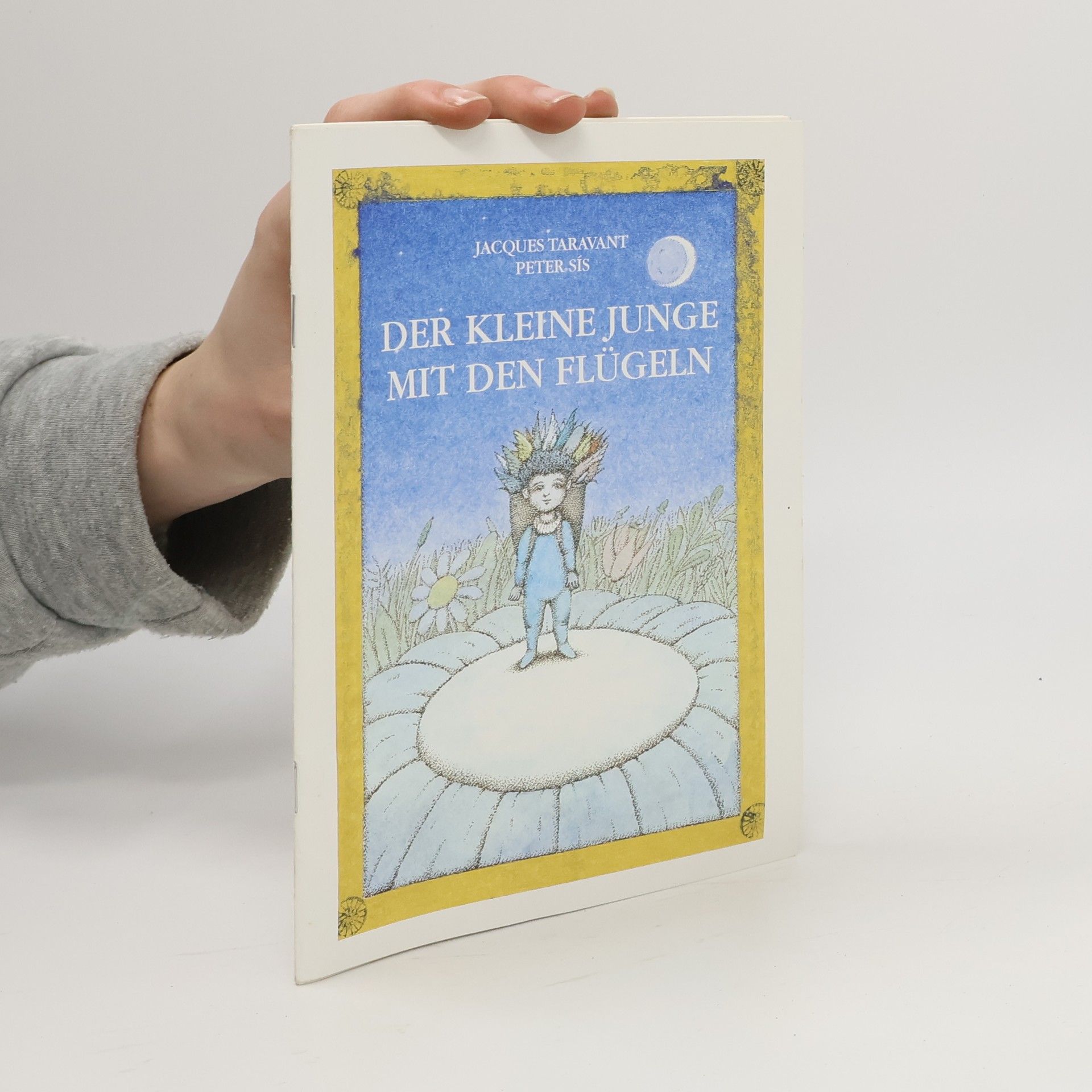 Der kleine Junge mit den Flügeln