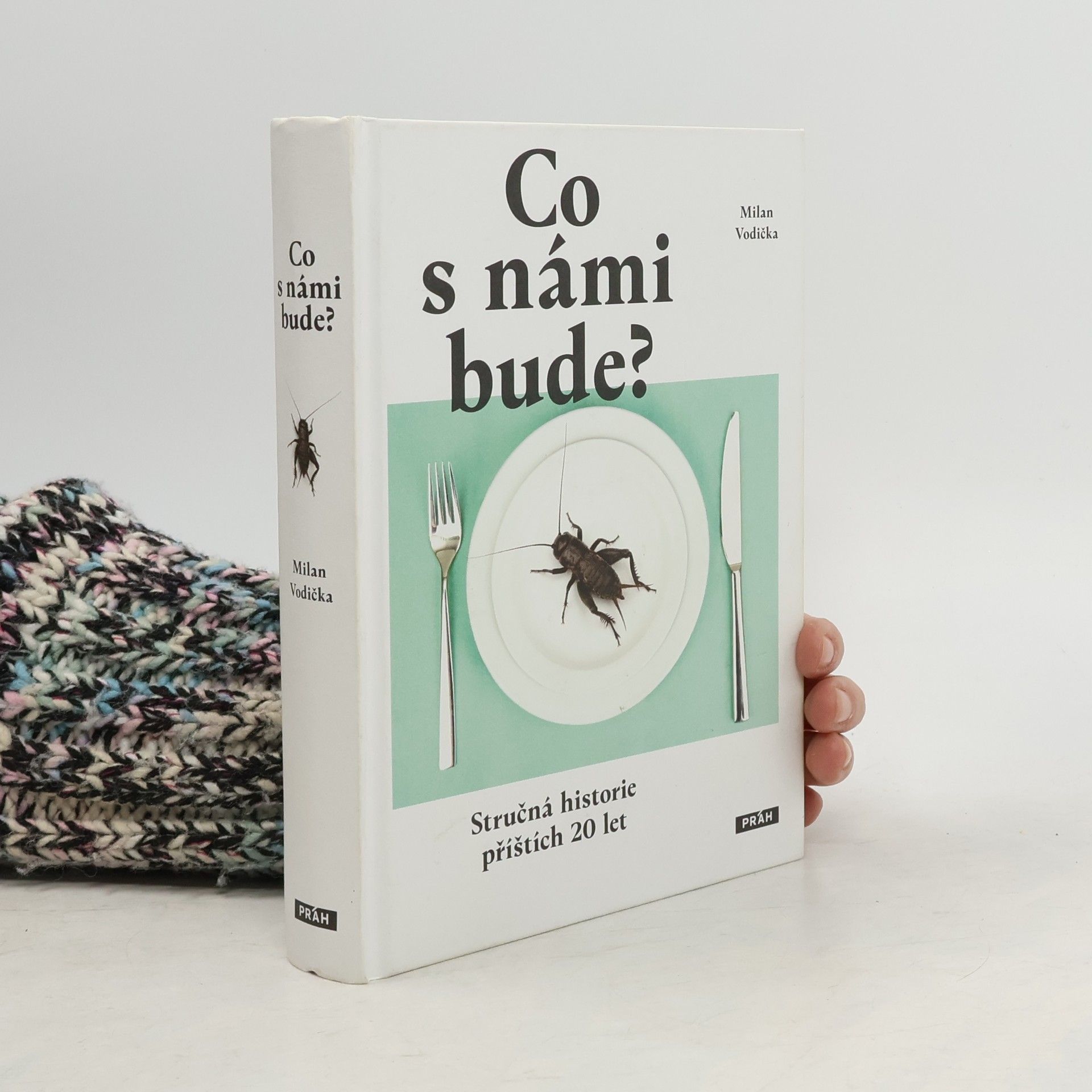 Co s námi bude? : stručná historie příštích 20 let