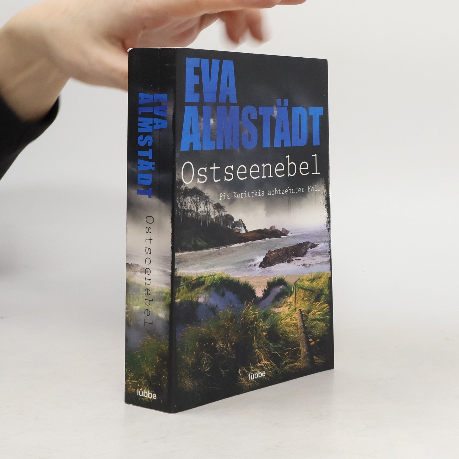 Eva Almstädt Ostseenebel