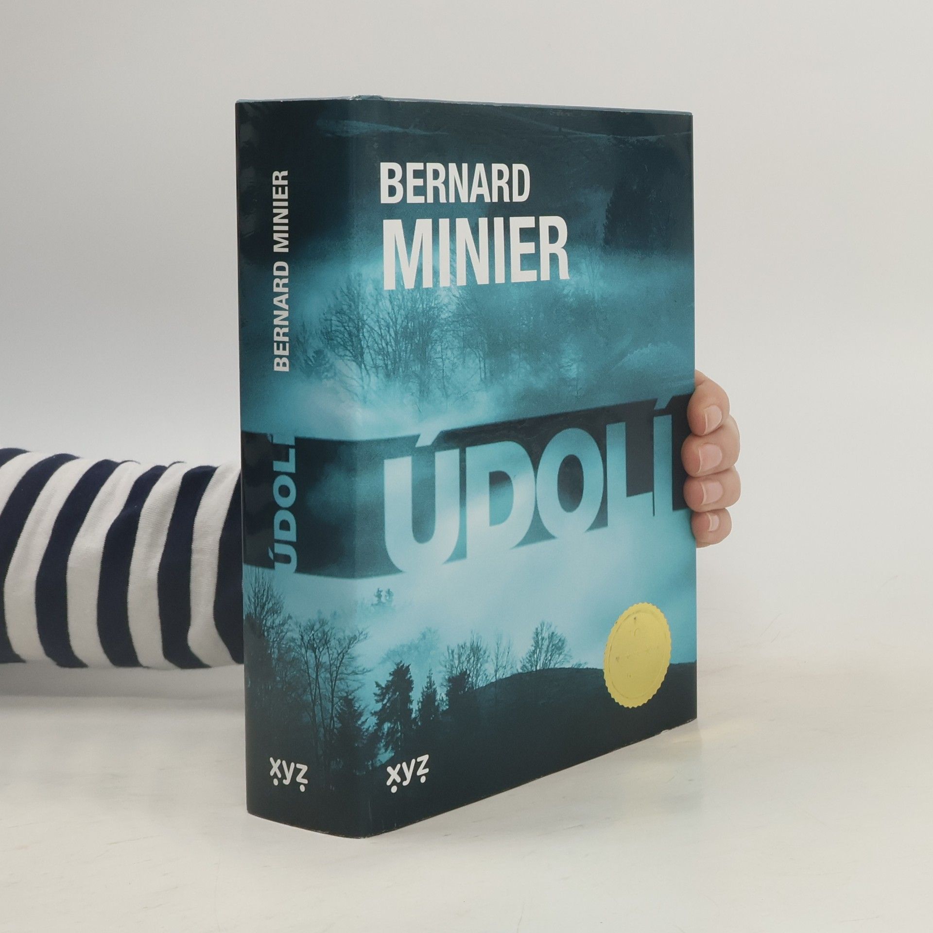 Bernard Minier Údolí