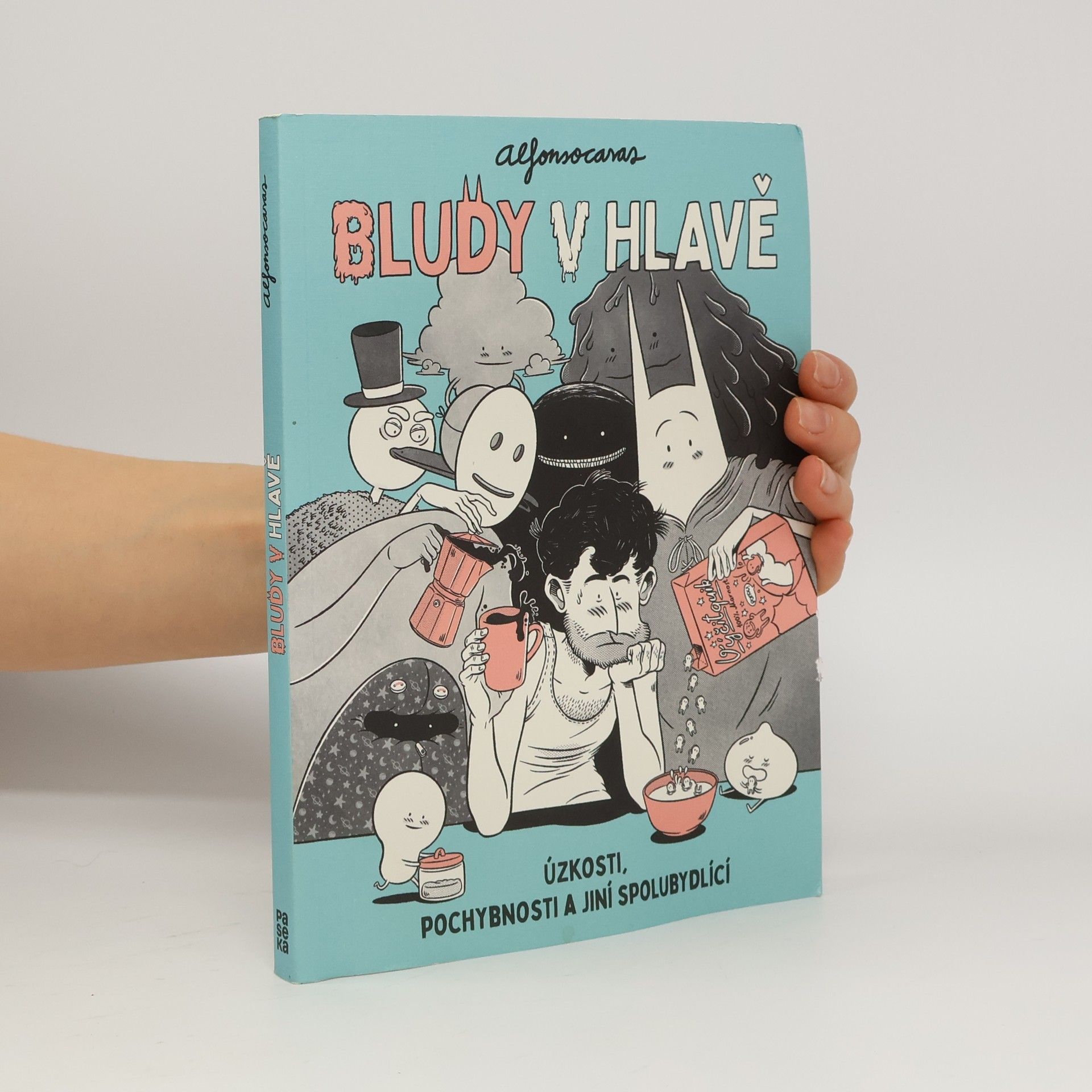 Bludy v hlavě. Úzkosti, pochybnosti a jiní spolubydlící