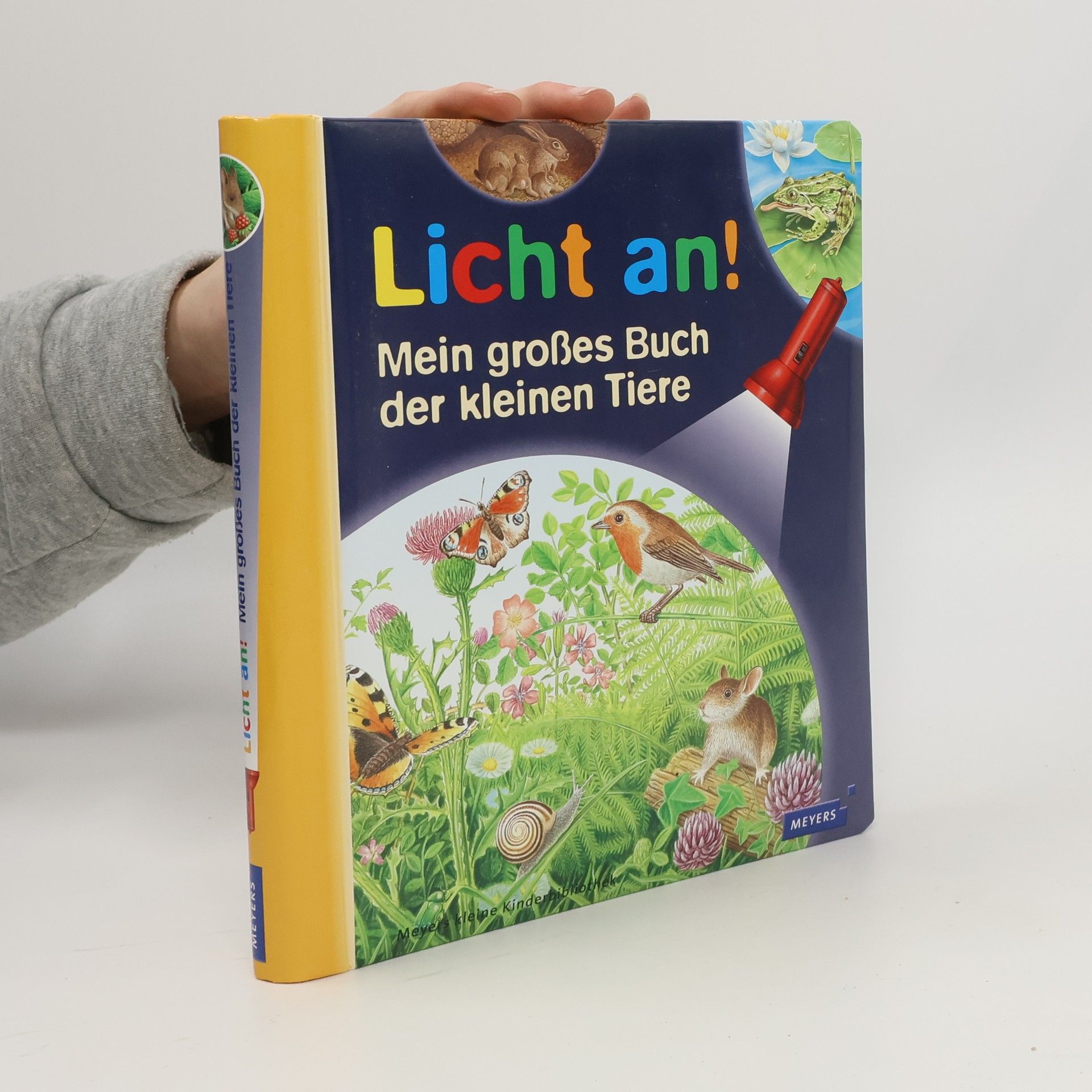 Danie le Bour Licht an! Mein großes Buch der kleinen Tiere
