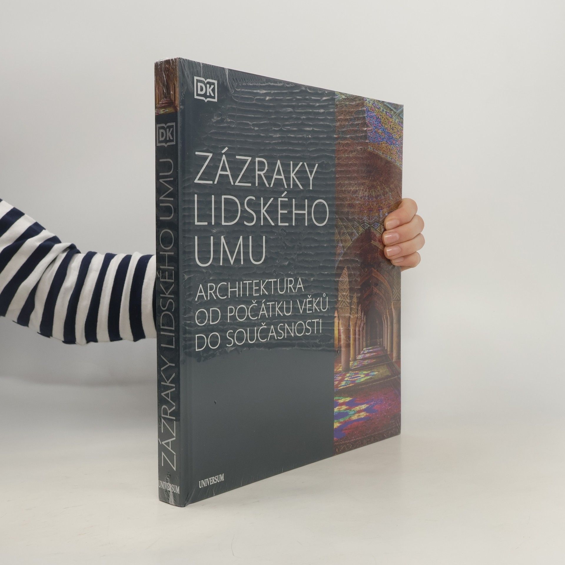 Dan Cruickshank Zázraky lidského umu: Architektura od počátku věků do současnosti