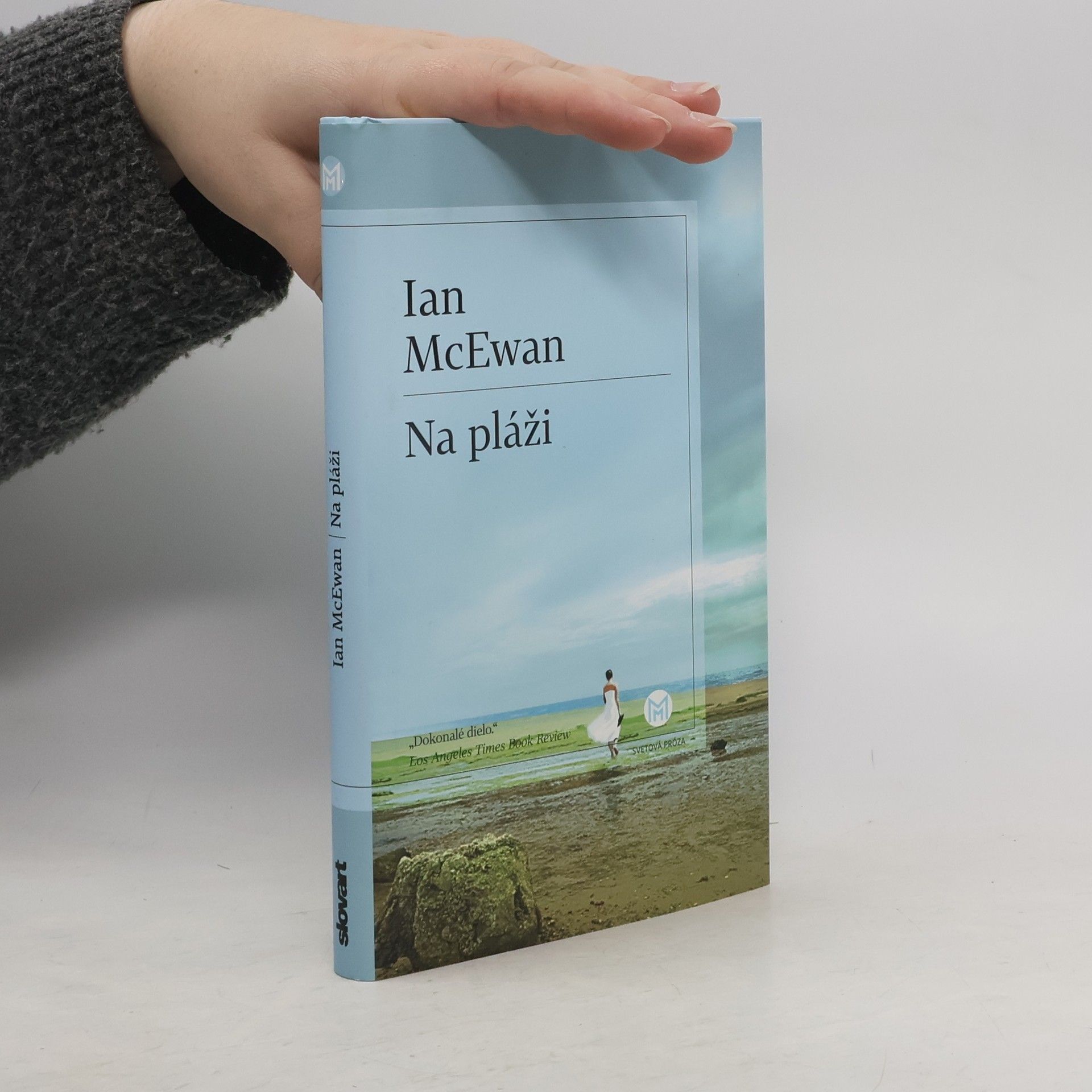 Ian McEwan Na pláži