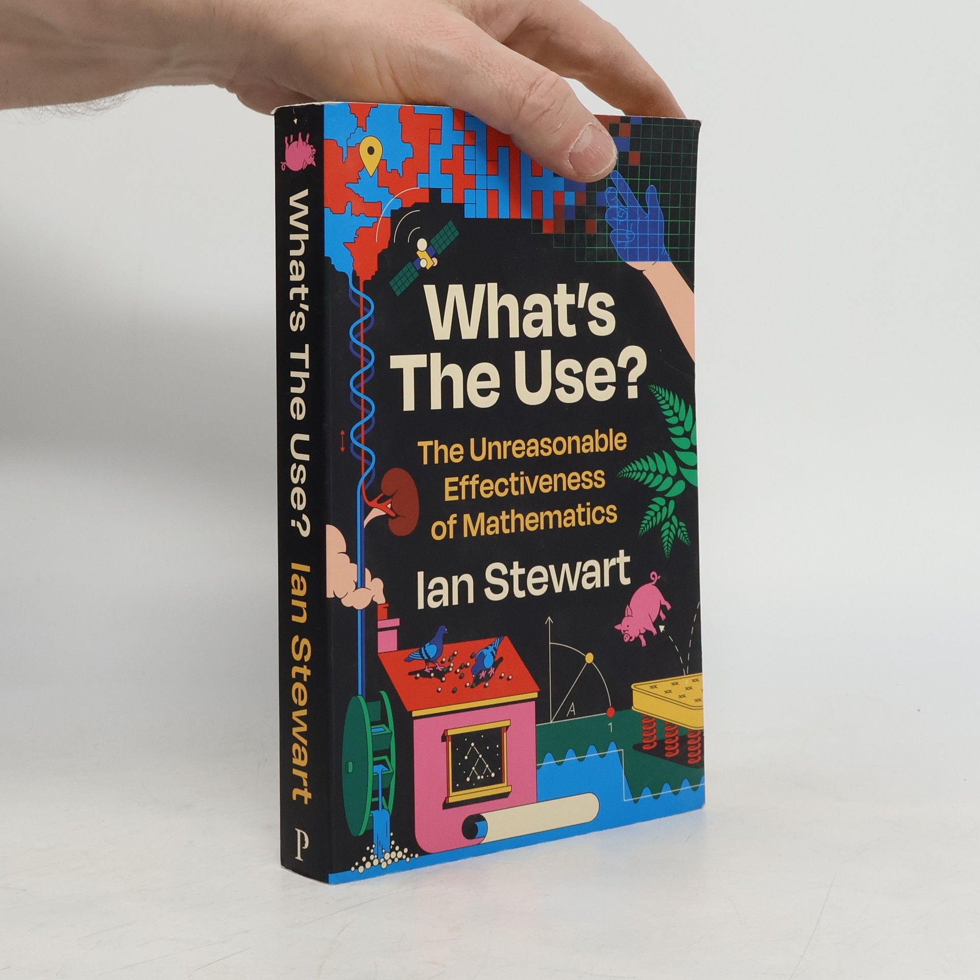 Ian Stewart What's the Use?