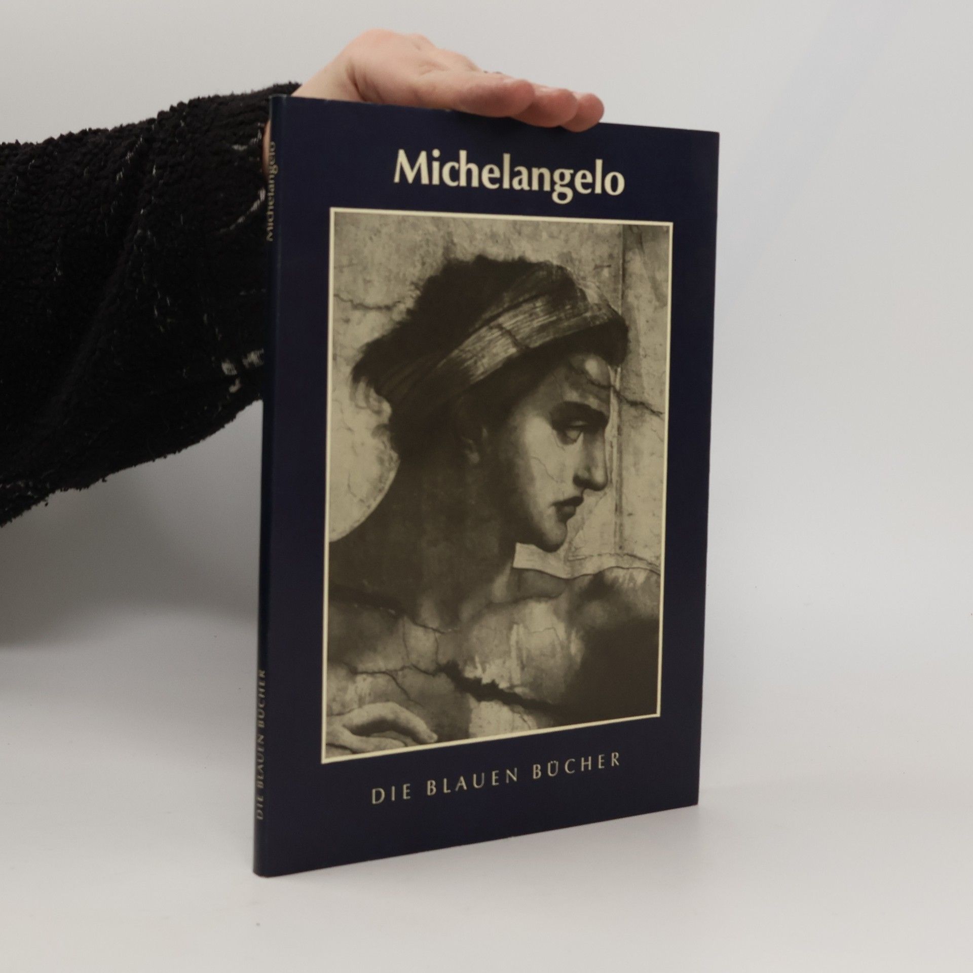 Autorenkollektiv Michelangelo