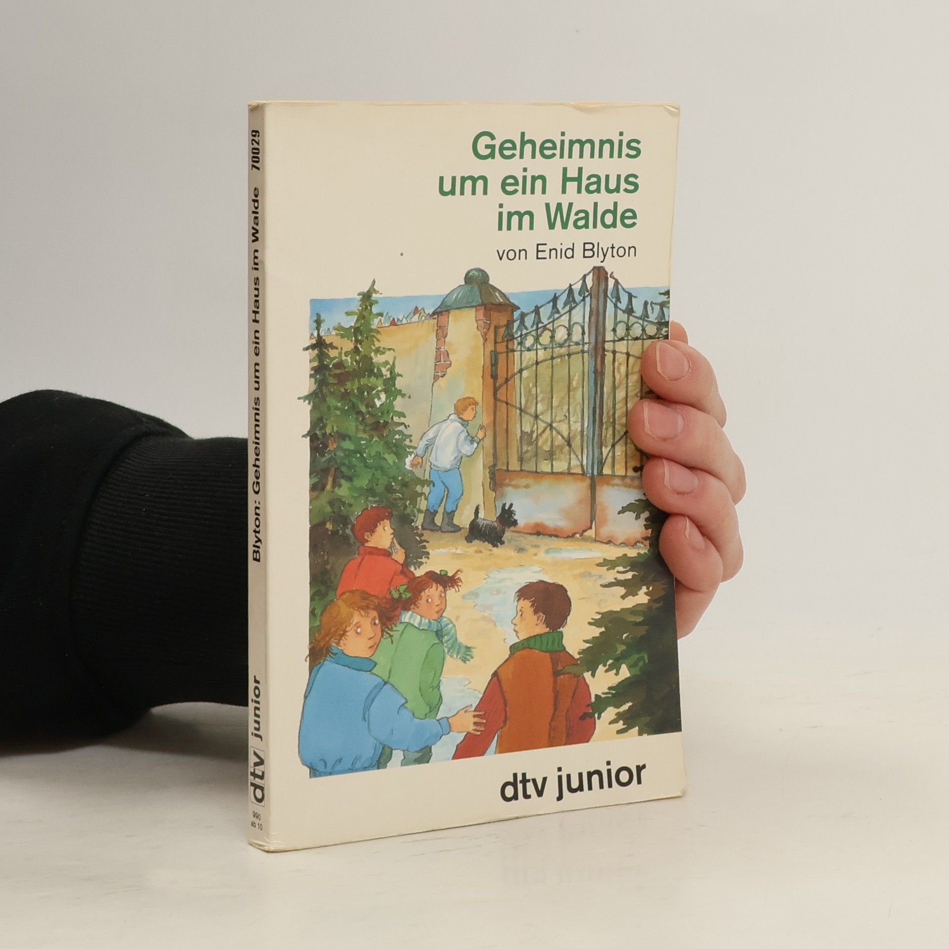 Enid Blyton Geheimnis um ein Haus im Walde
