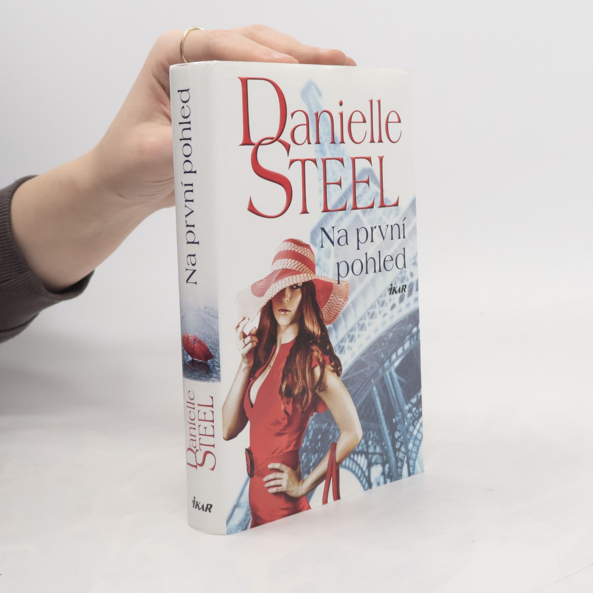 Danielle Steel Na první pohled