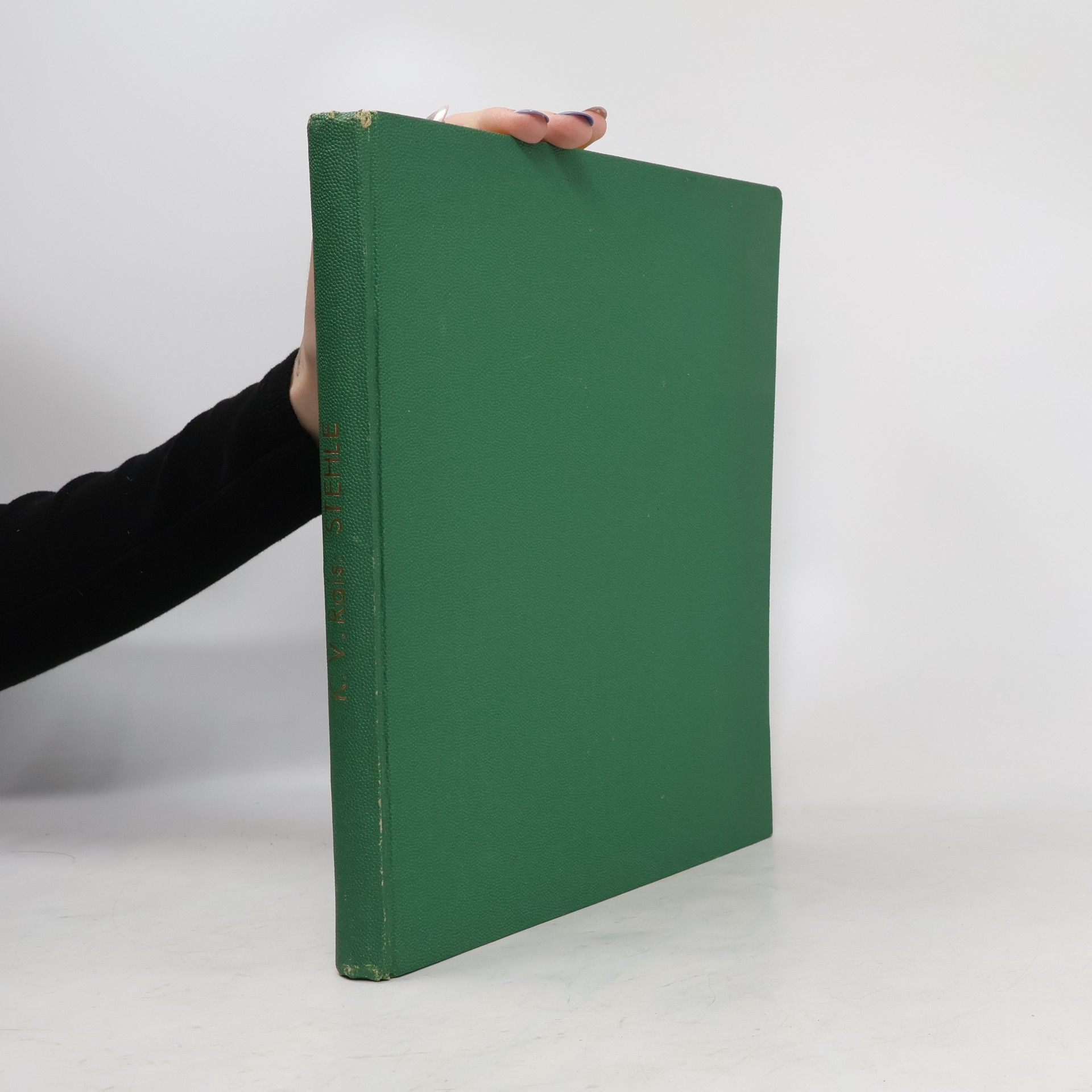 Adolf Kašpar Stehle. Podhorský obraz